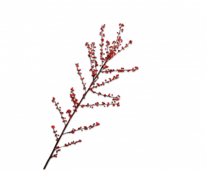 BERRY BRANCHE  ROUGE  157 CM