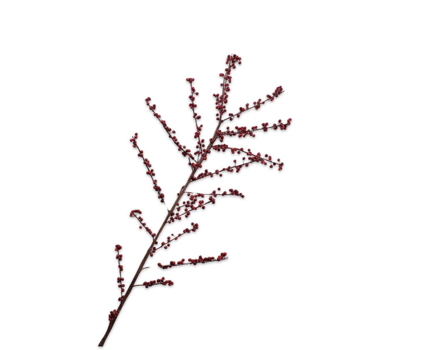 BERRY SPRAY  RED DK  157 CM