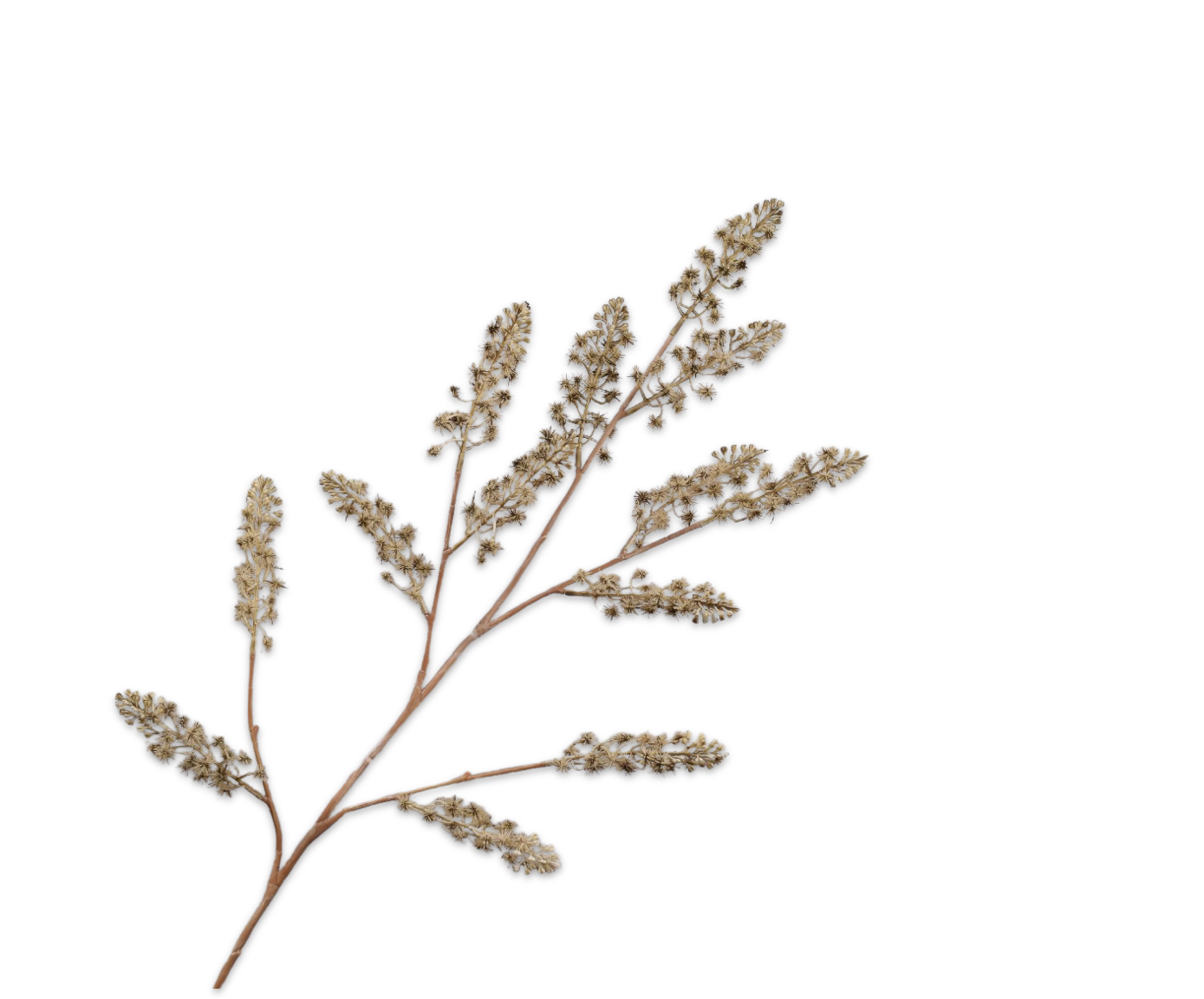 THISTLE SPRAY GRN/GRY  116 CM
