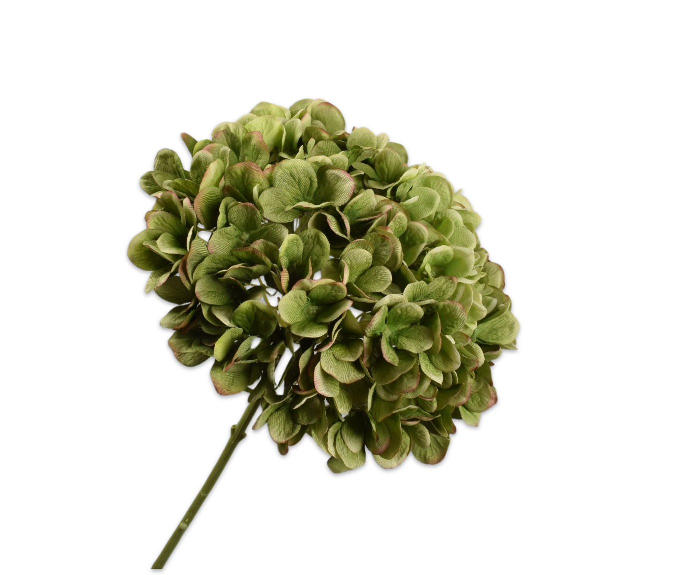 HYDRANGEA STEM GREEN  86 CM