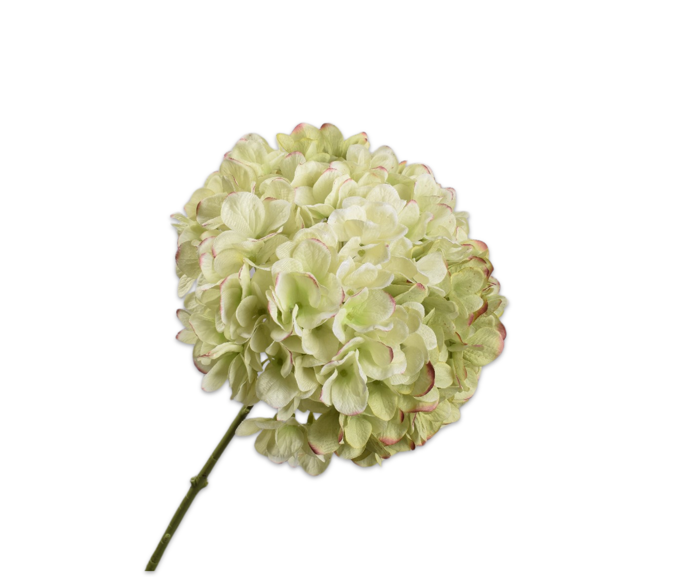 HYDRANGEA STEM BUR/GRN  86 CM