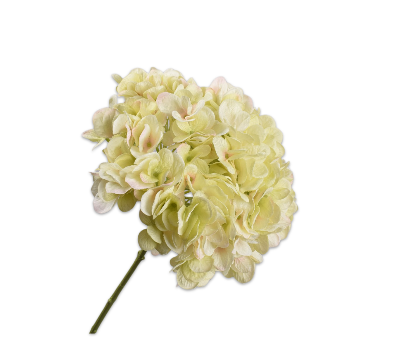 HORTENSIE STIEL CR/GRN  86 CM