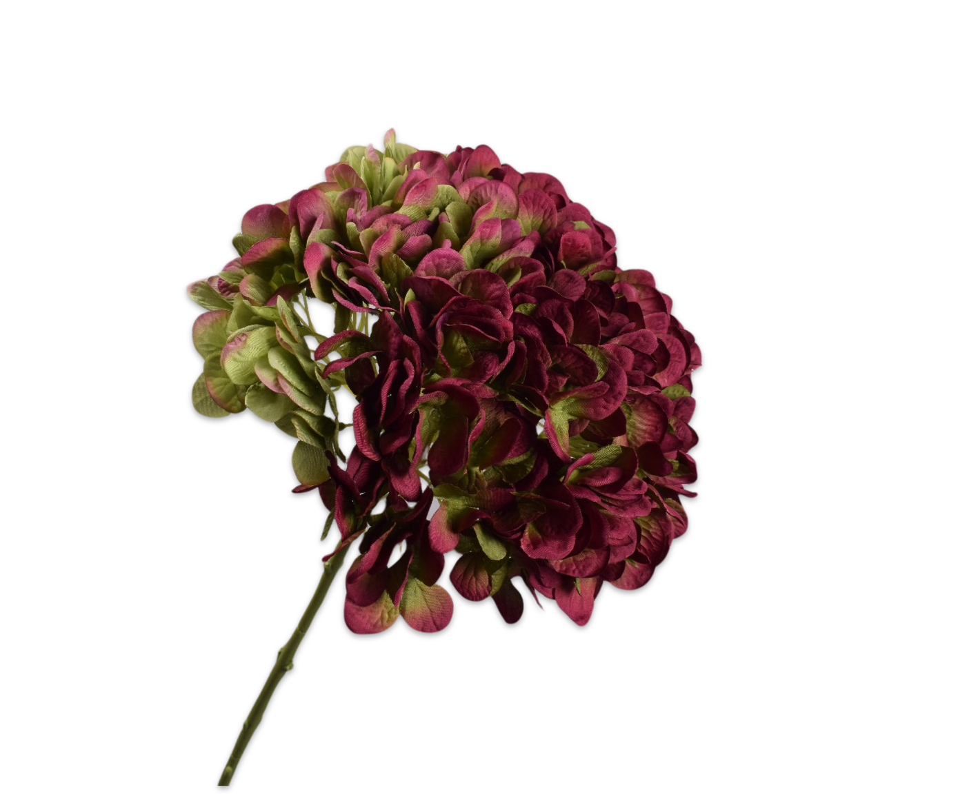 HYDRANGEA STEM PRP/GR  86 CM
