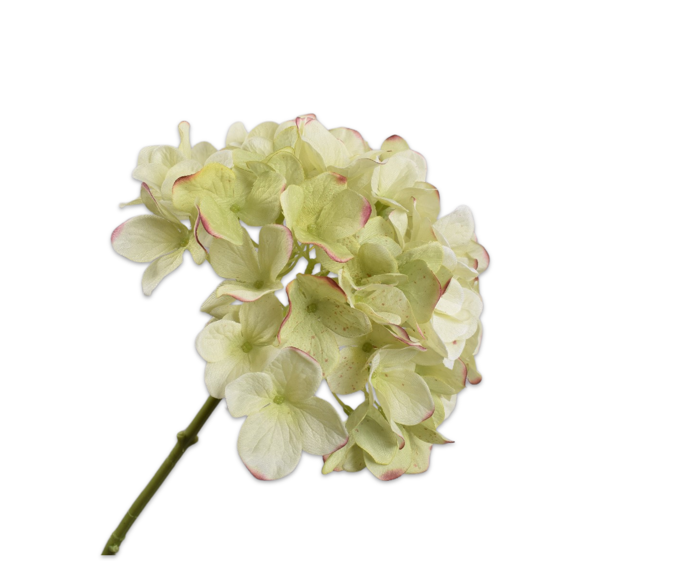 HYDRANGEA STEM BUR/GRN  48 CM