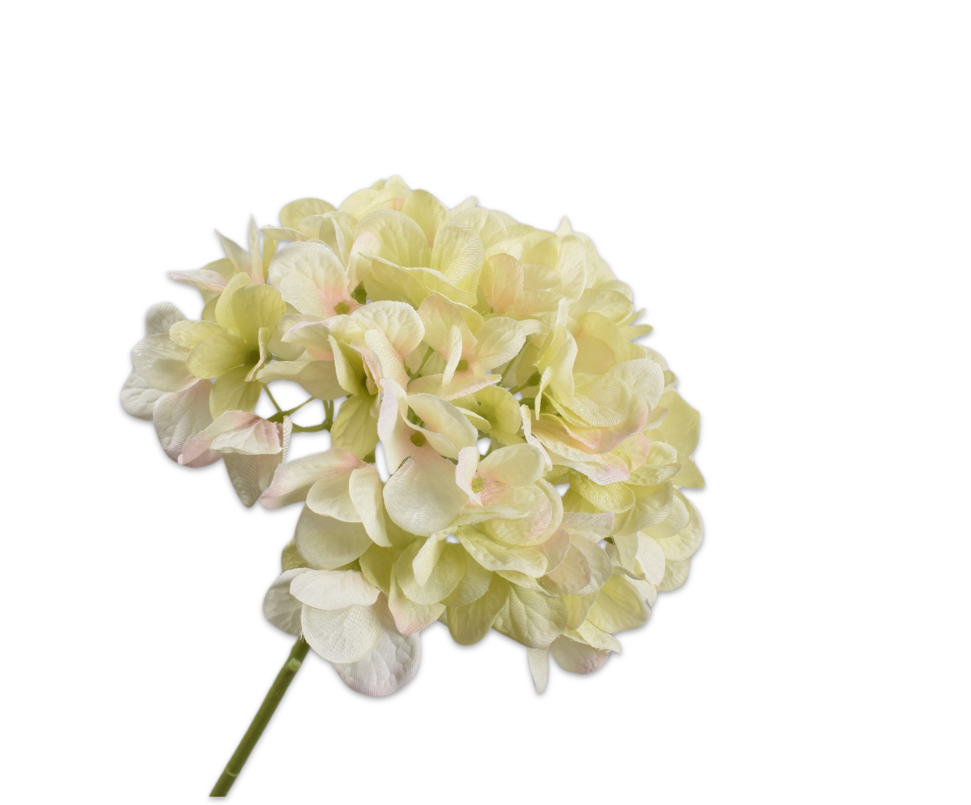 HYDRANGEA STEM CR/GRN  48 CM