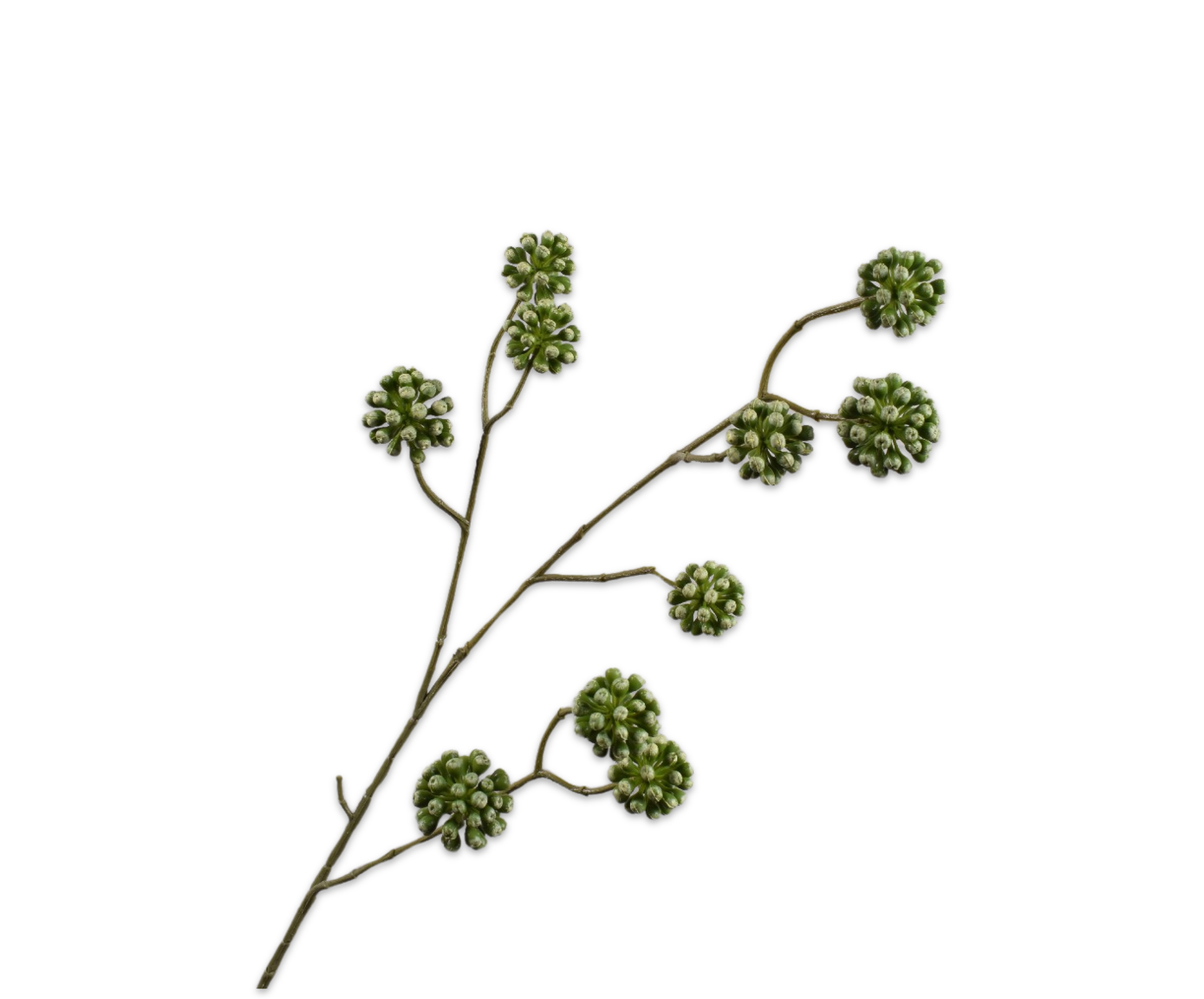 BESSENTAK  GROEN 97 cm