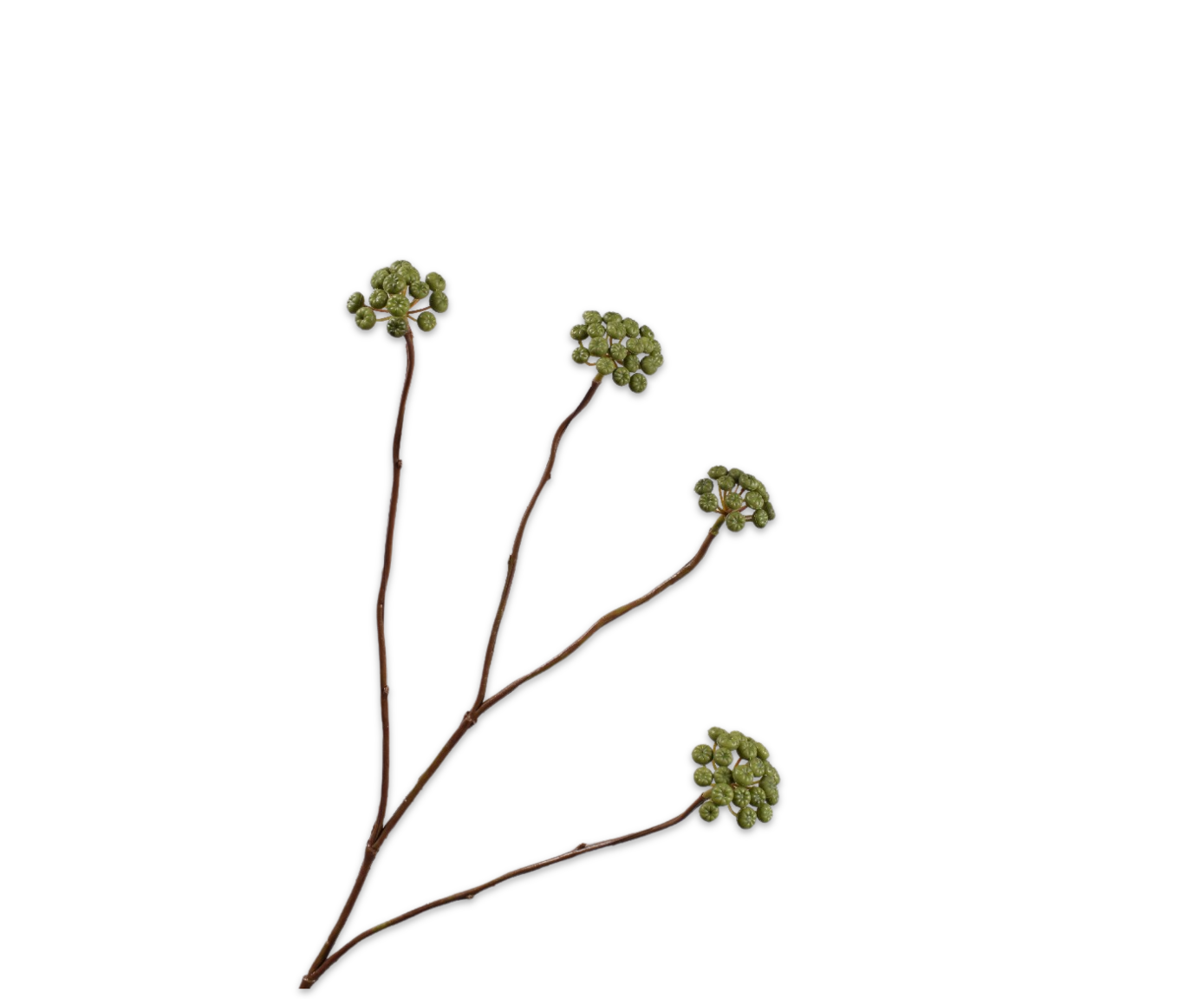 BESSENTAK  GROEN  73 cm