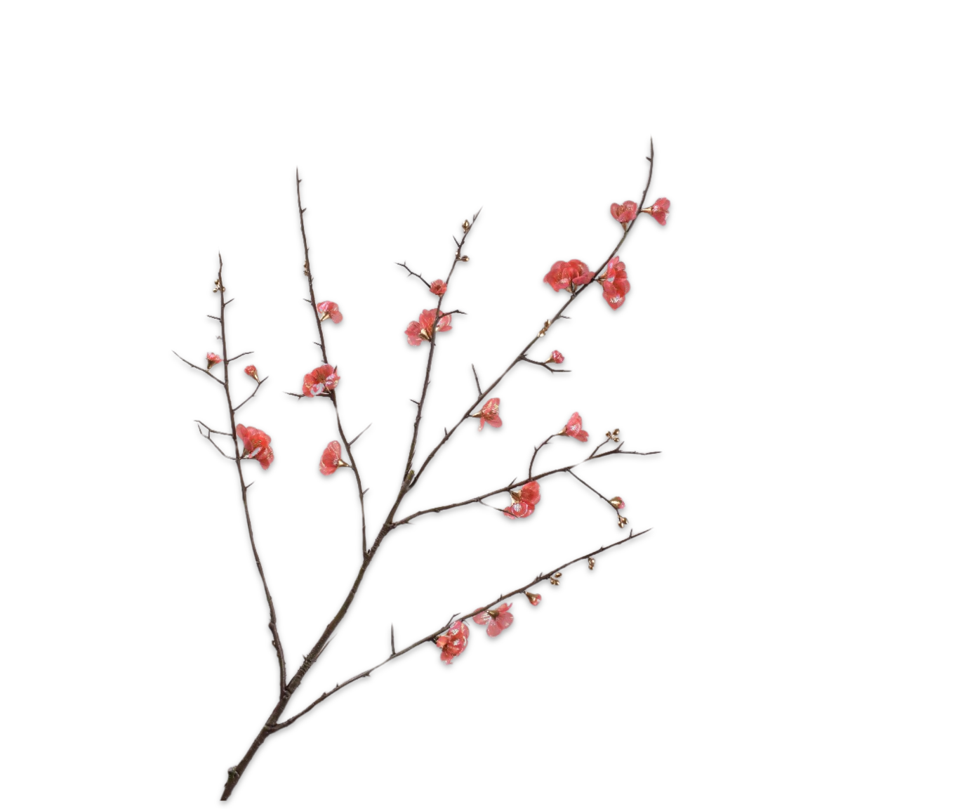 BLOESEM TAK ROZE 120 cm