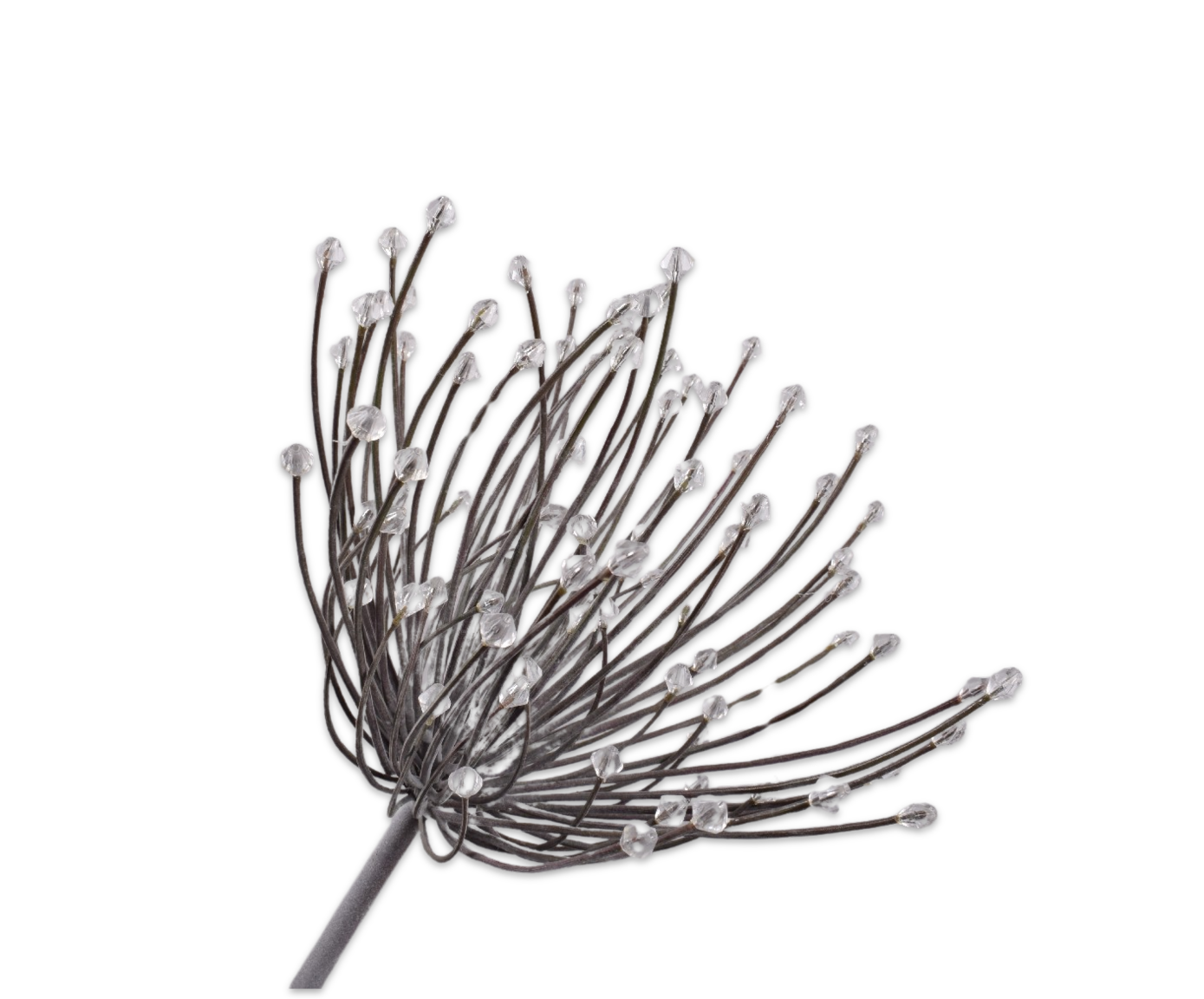 ALLIUM STEM CREAM  54 CM