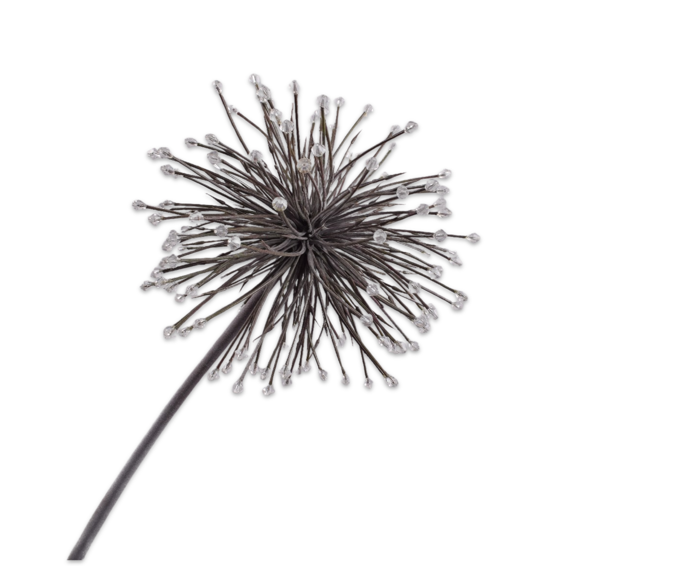 ALLIUM STIEL CREME  88 CM