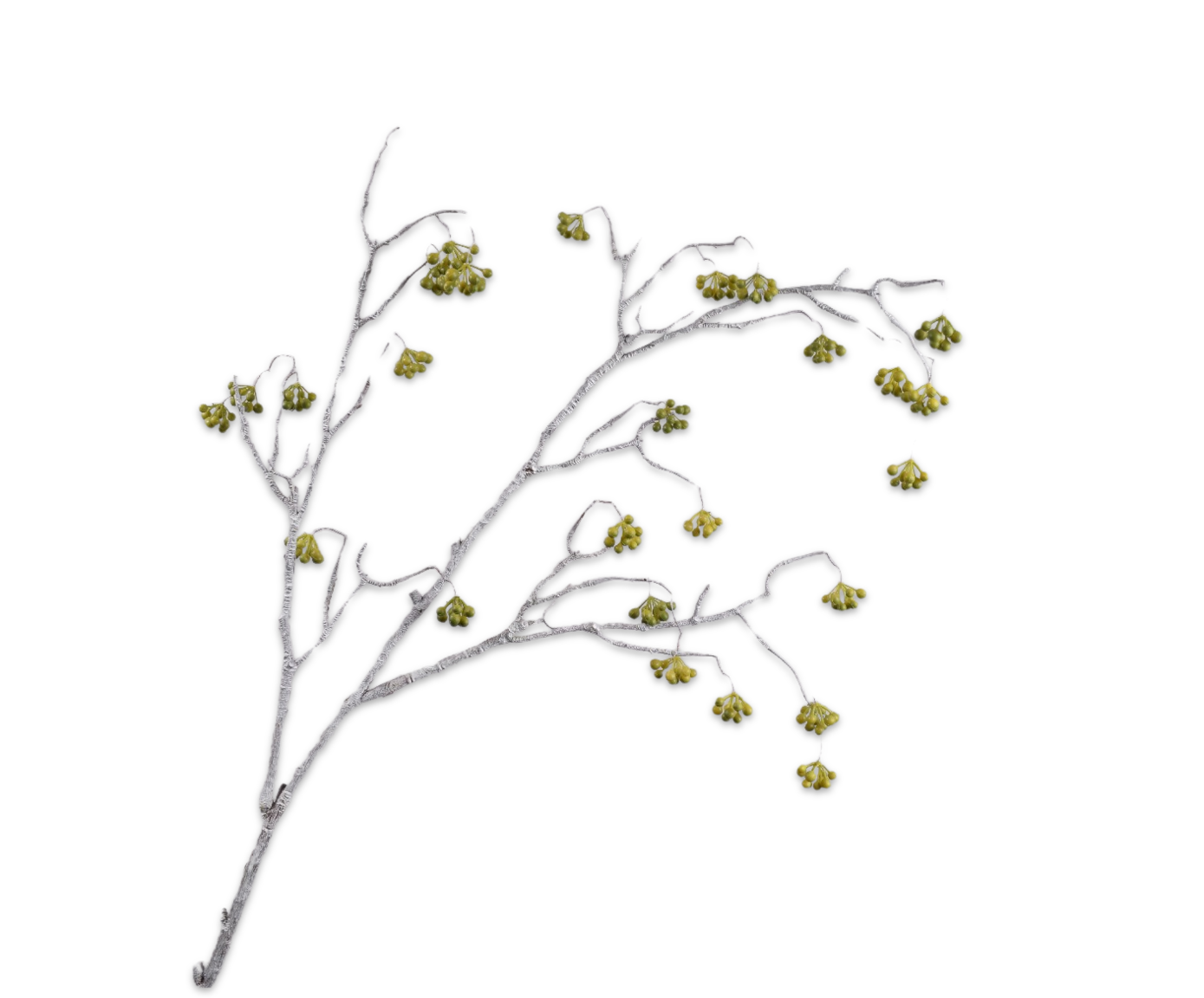 BERRY SPRAY  GREEN  145 CM