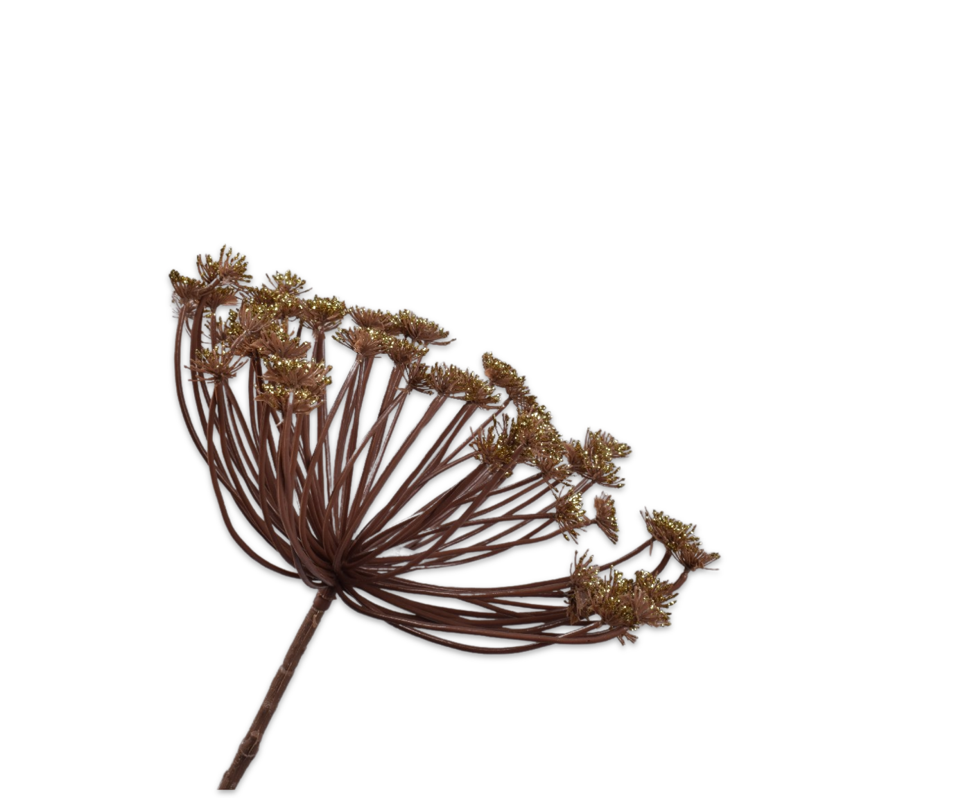 QUEEN AN LACE STEM GOLD  82 CM