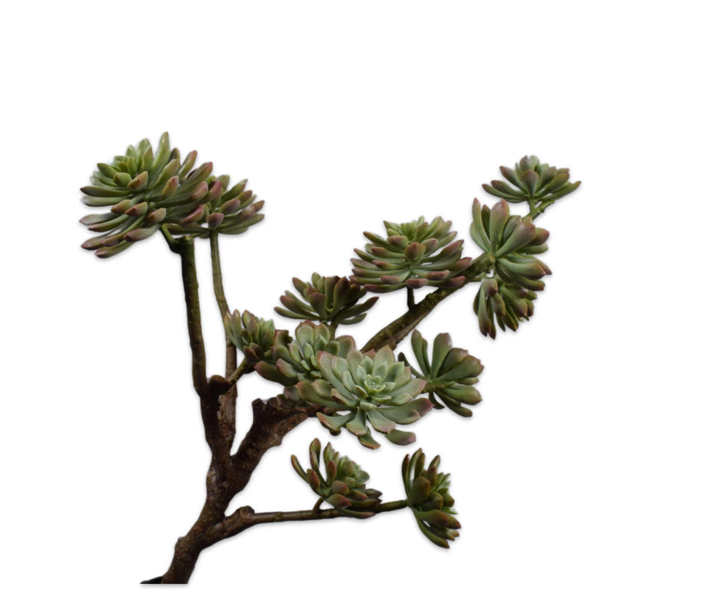 SUCCULENT SPRAY GREEN  48 CM