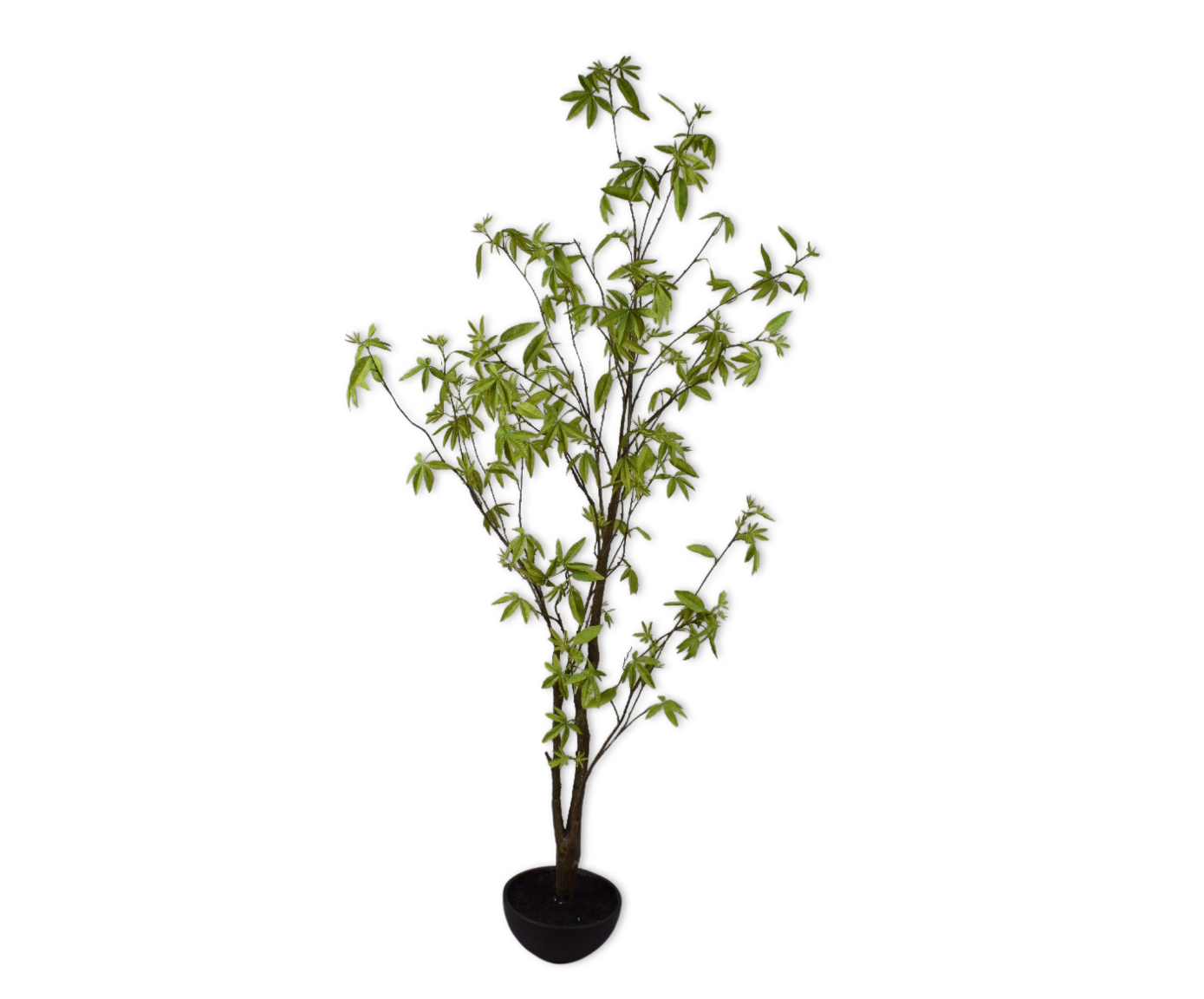 ACER E/MACETA VERDE  170 CM