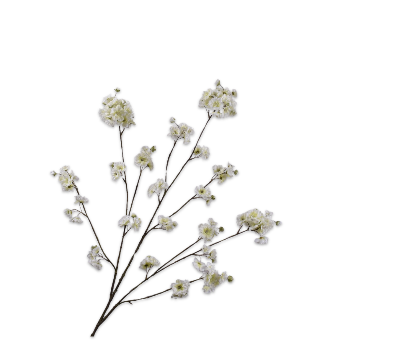 CAPULLOS  BLA/VER FR  127 CM