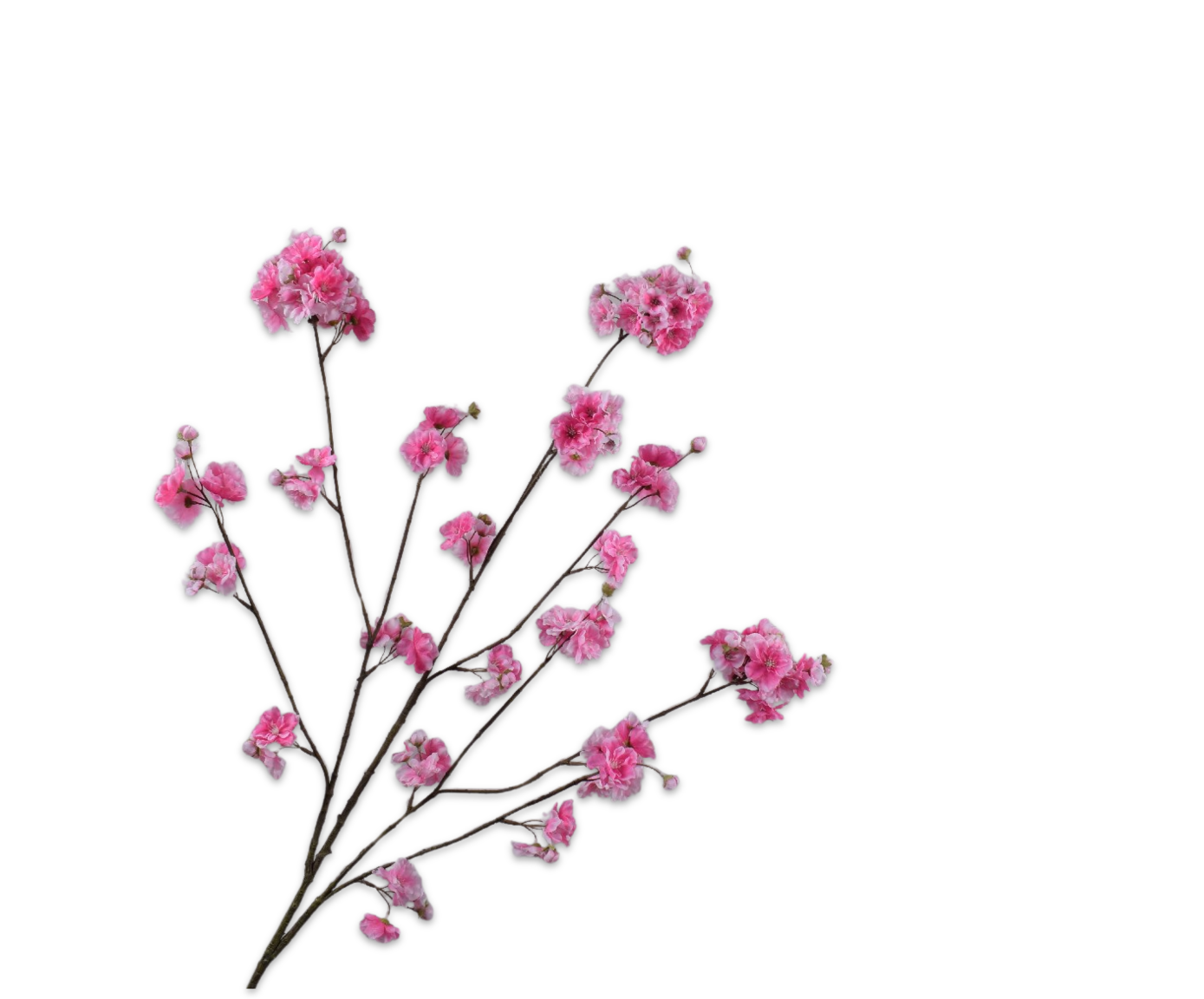 CAPULLOS  ROSA OSC FR  127 CM