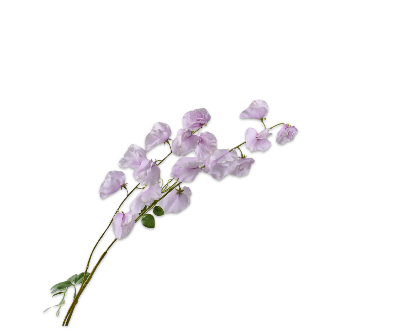LATHYRUS SPRAY LILAC RT  121 CM