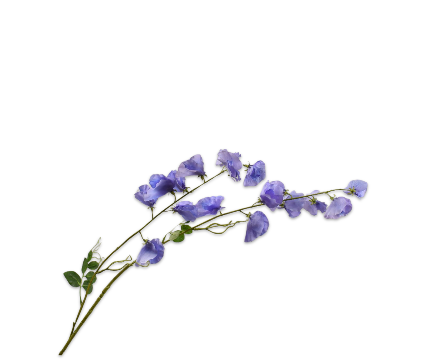 LATHYRUS SPRAY BLUE LT RT  121 CM