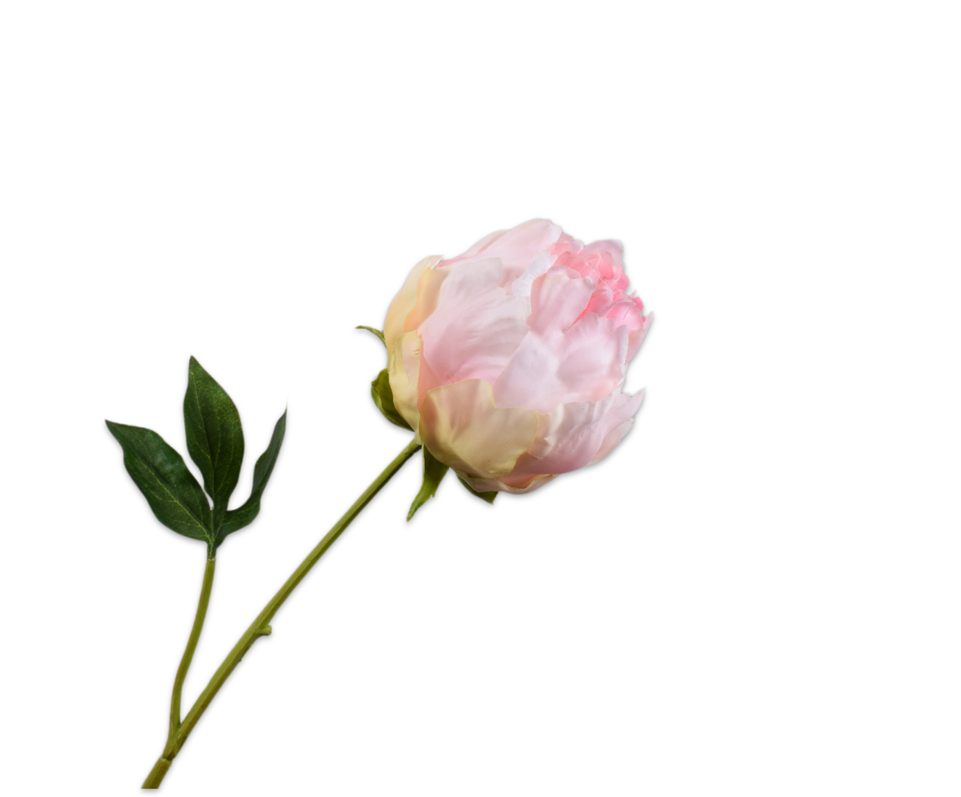 PIOEN&#x20;STEEL&#x20;PERZIK&#x20;RT&#x20;58&#x20;cm