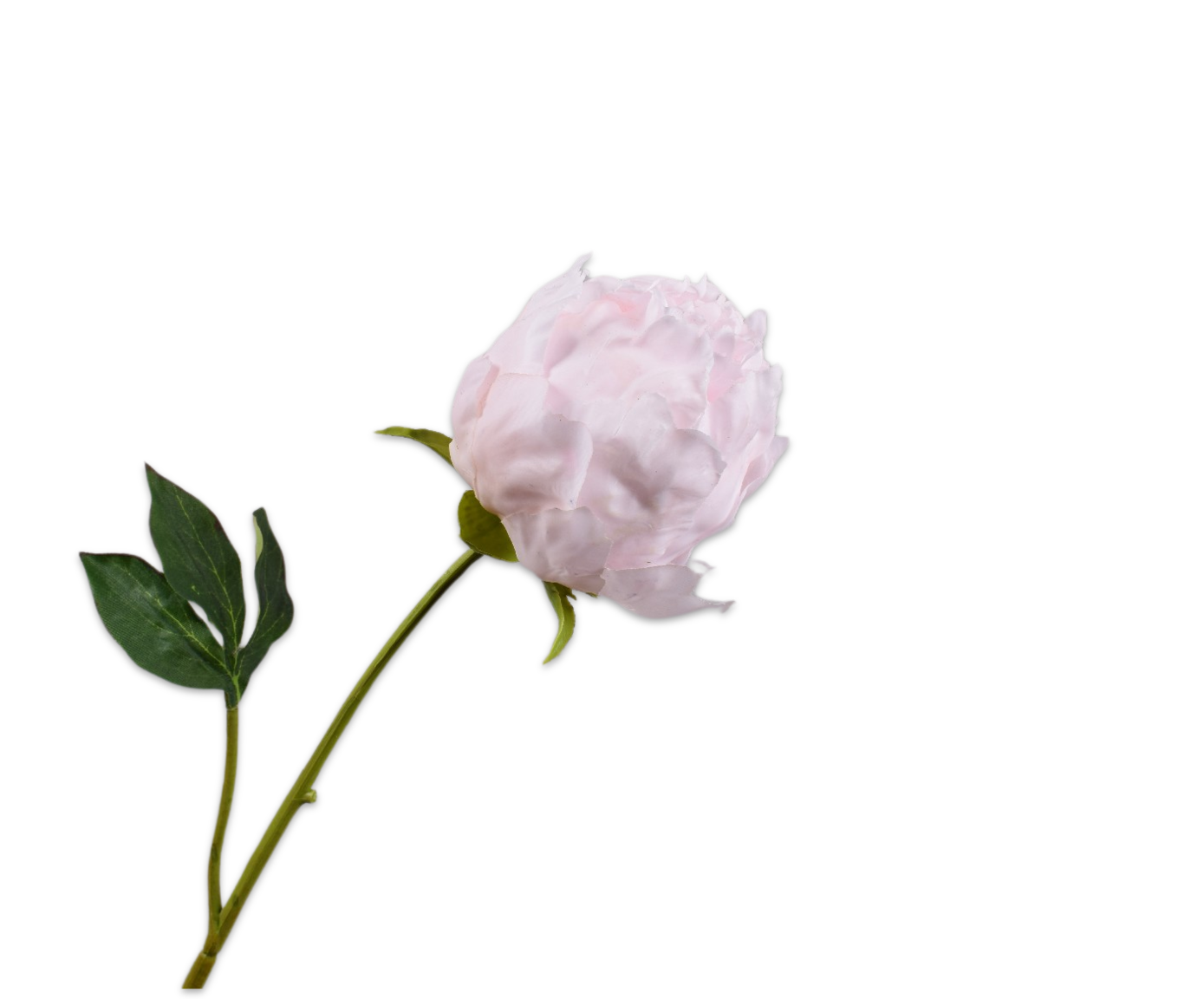PIOEN STEEL ROZE LT RT 58 cm