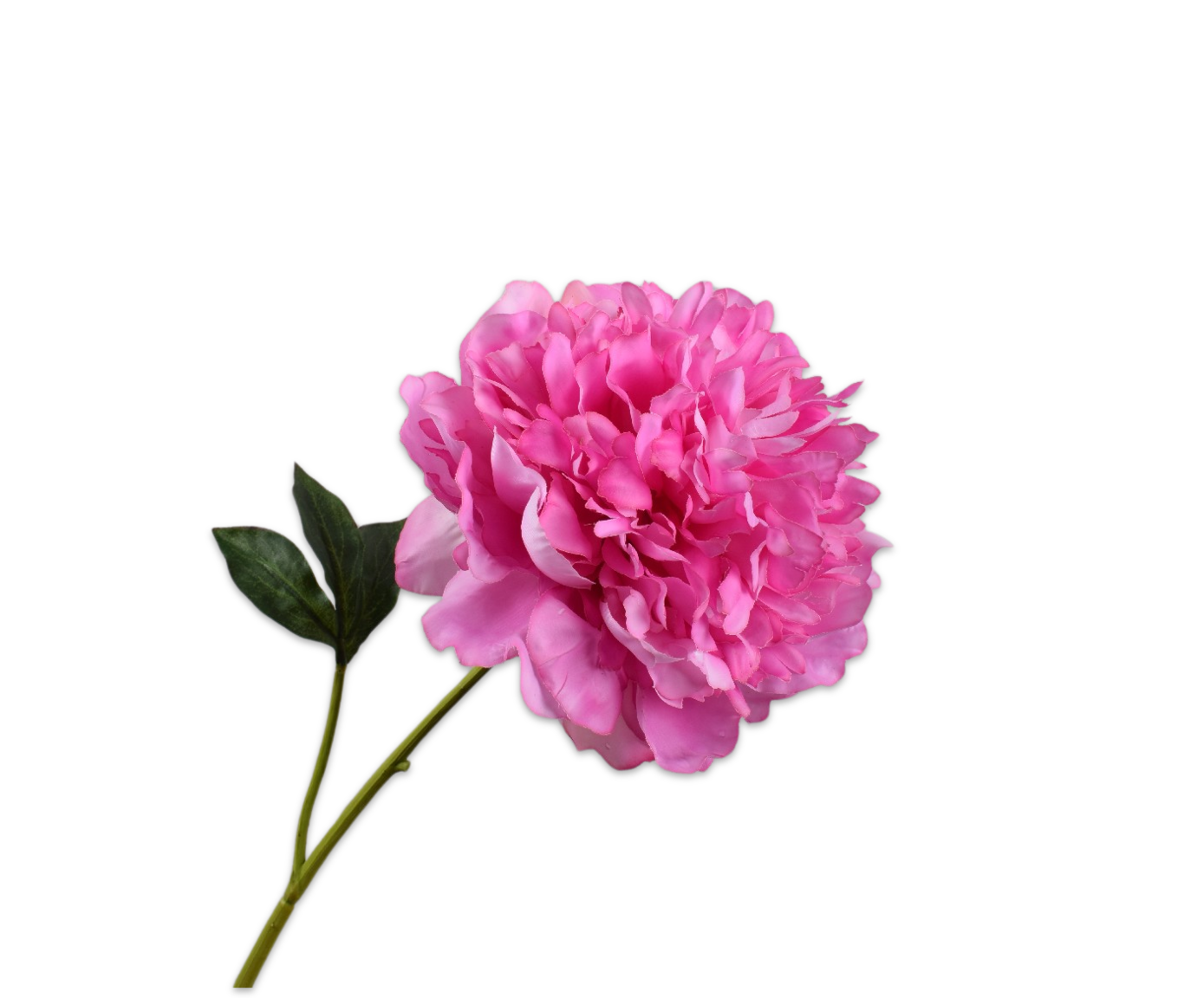 PIOEN&#x20;STEEL&#x20;ROZE&#x20;DK&#x20;RT&#x20;57&#x20;cm