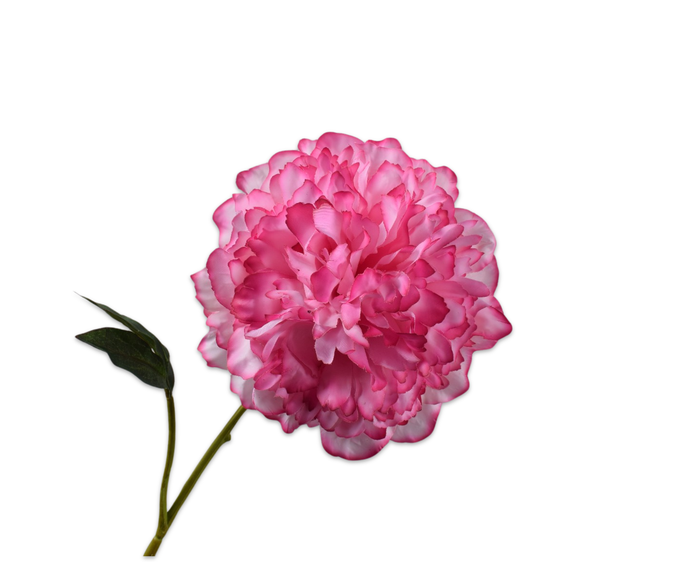 PEONY STEM PINK RT  57 CM