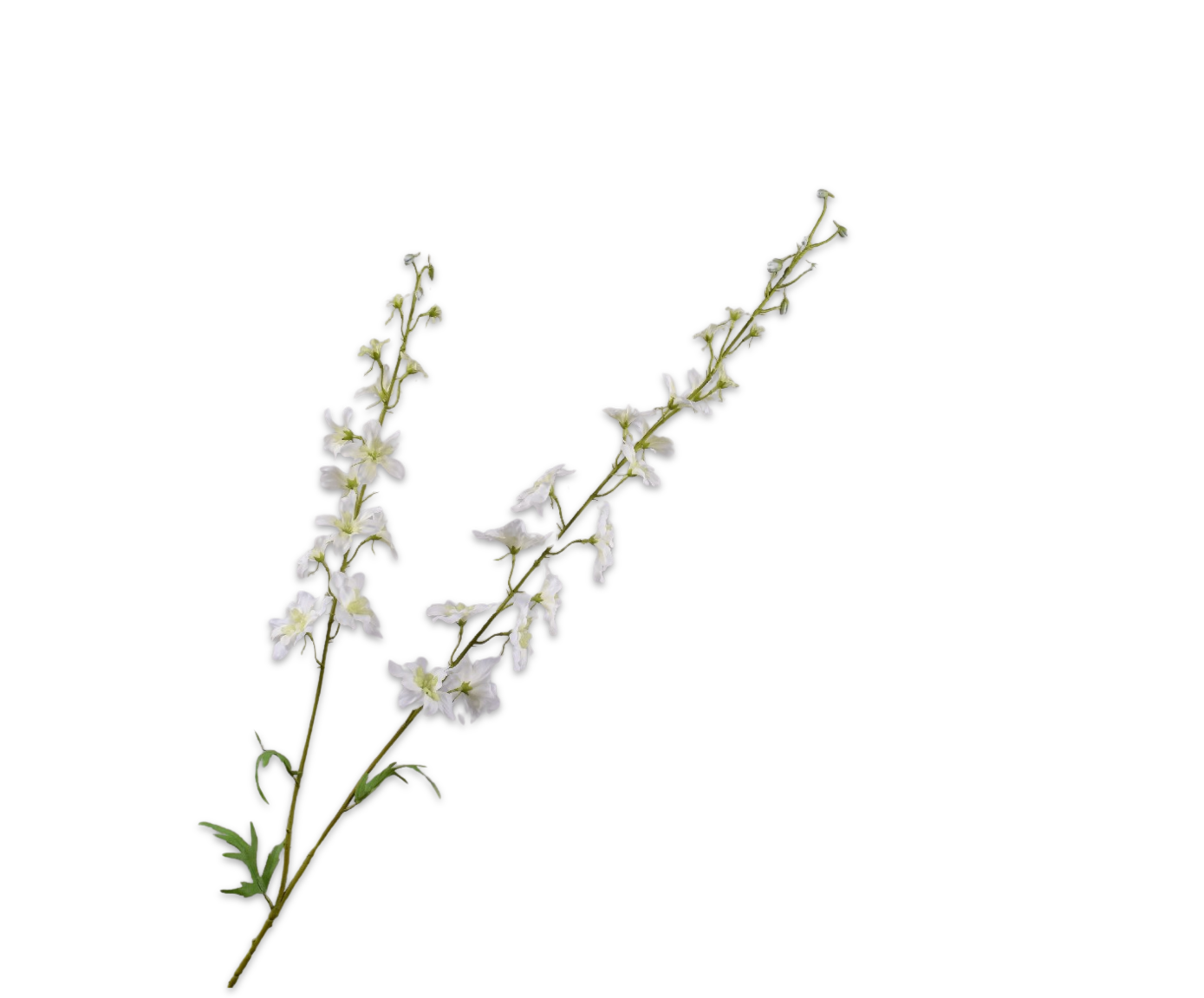 DELPHINIUM SPRAY CREAM RT  122 CM
