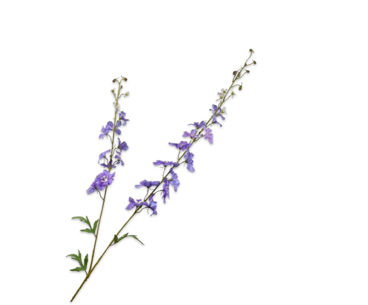 DELPHINIUM SPRAY LAV PRP RT  122 CM