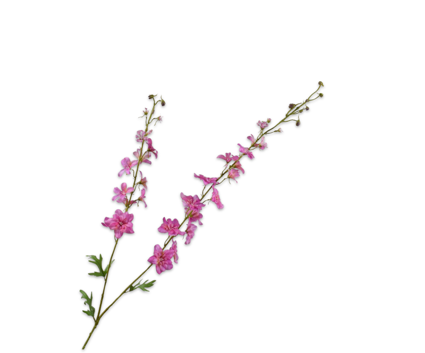 DELPHINIUM SPRAY PINK DK RT  122 CM