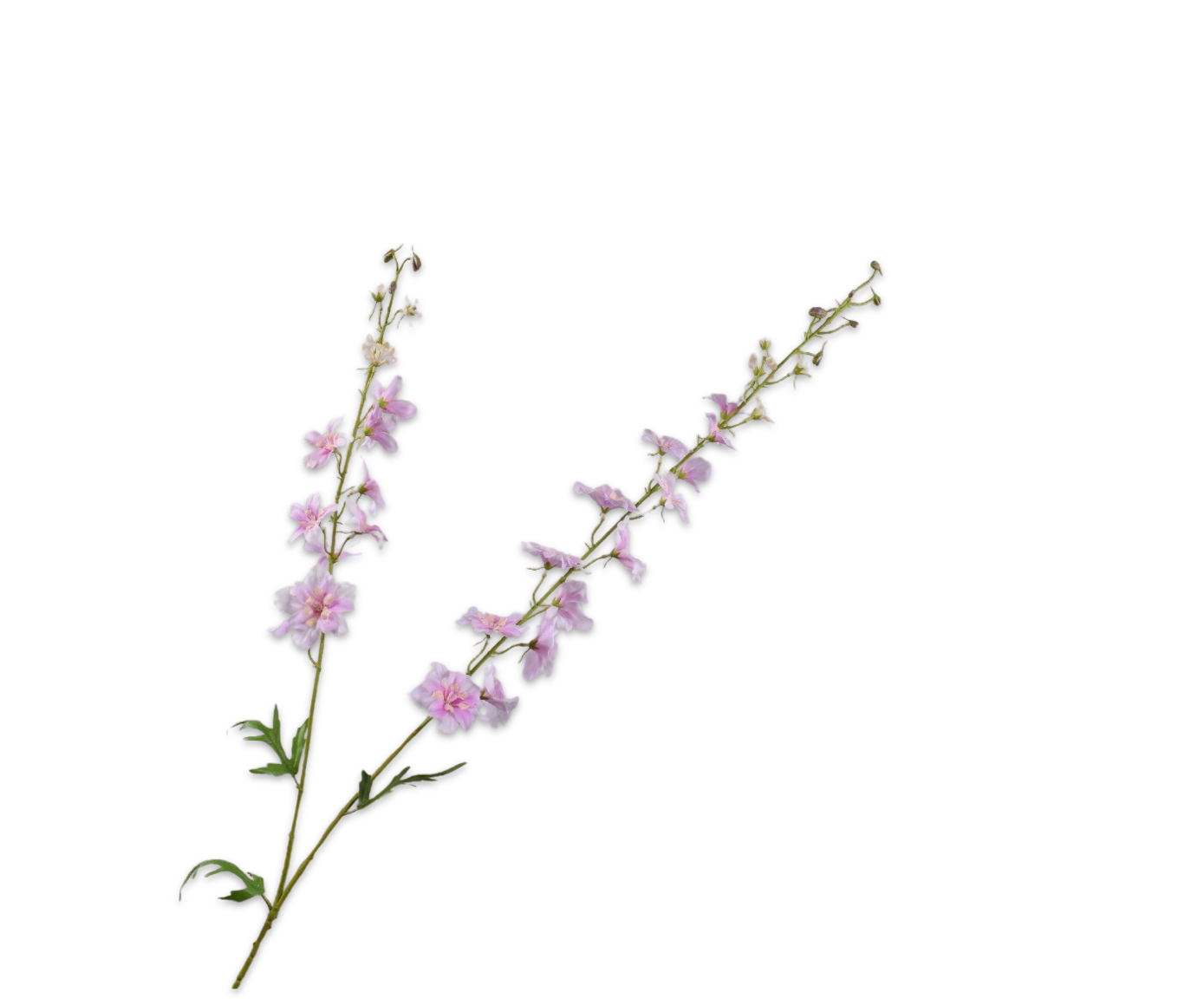 DELPHINIUM SPRAY PINK LT RT  122 CM
