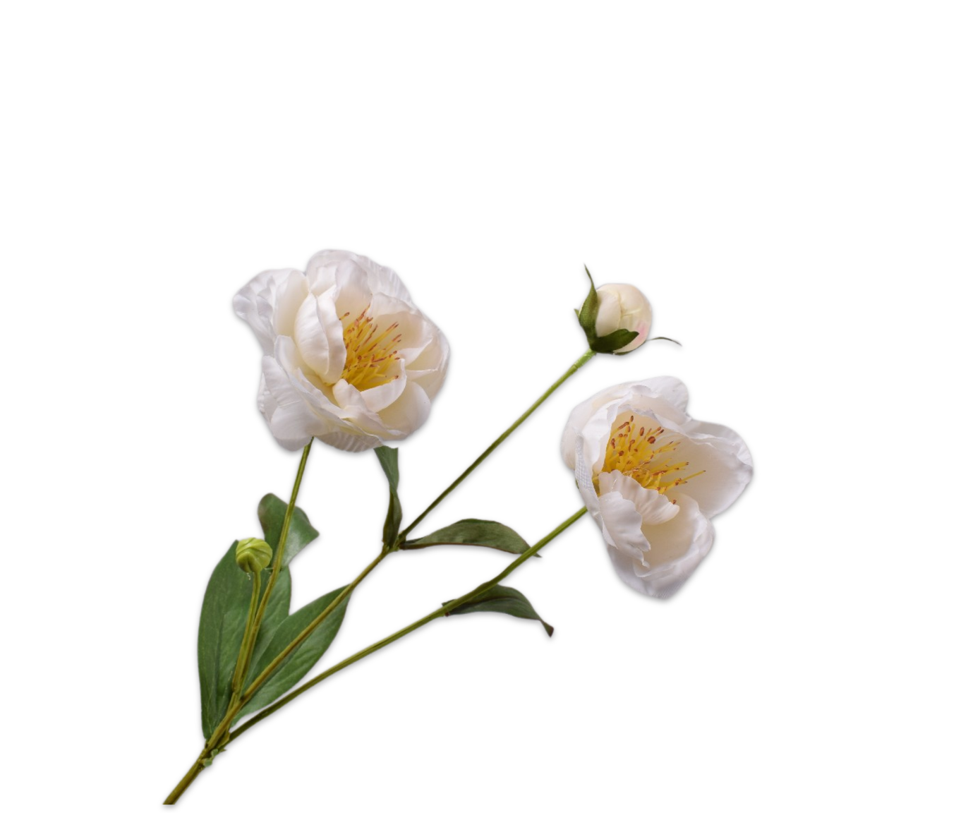 PEONY SPRAY CREAM RT  66 CM