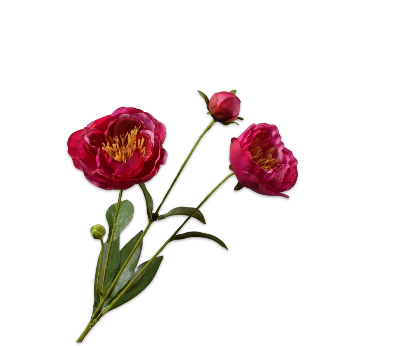 PEONY SPRAY BEAUTY RT  66 CM