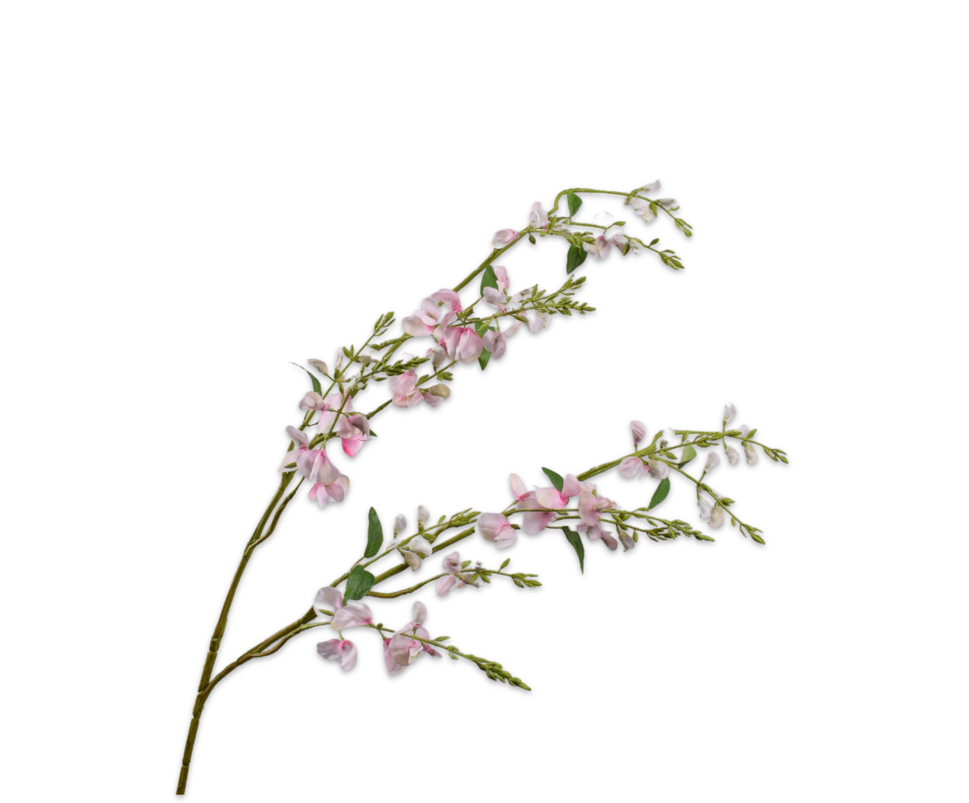 LATHYRUS SPRAY PINK RT  123 CM