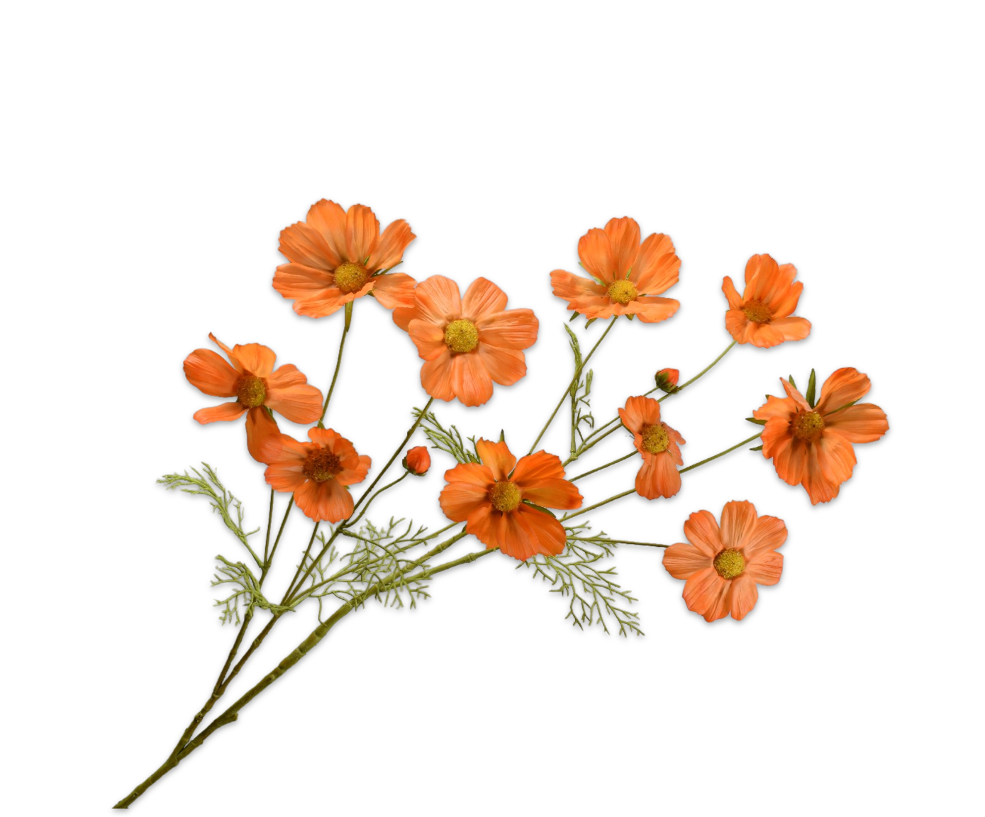 COSMOS SPRAY ORA LT RT  112 CM