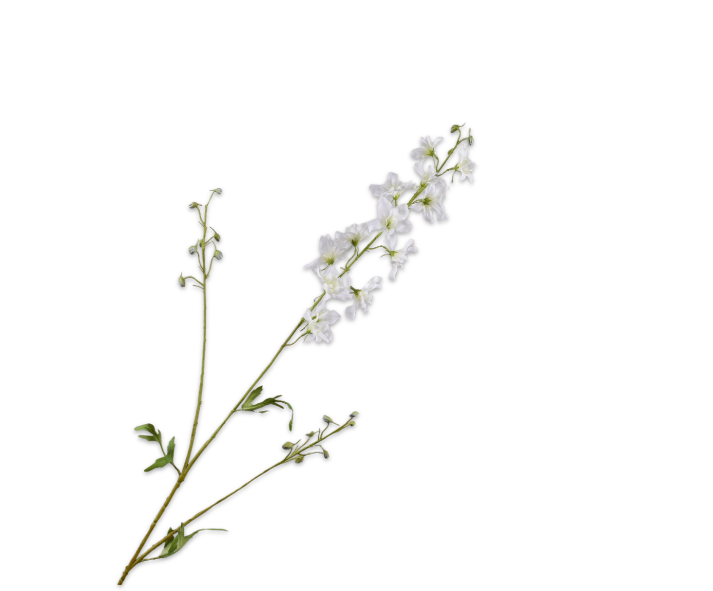 DELPHINIUM SPRAY CREAM  101 CM