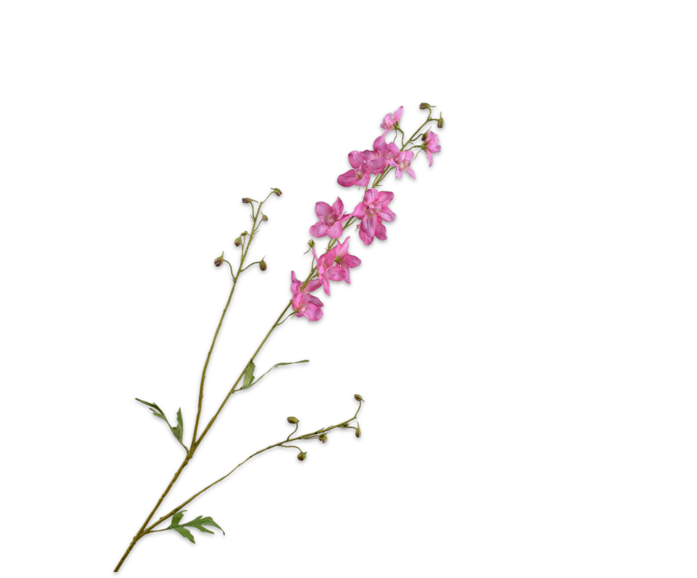 DELPHINIUM SPRAY PINK DK  101 CM