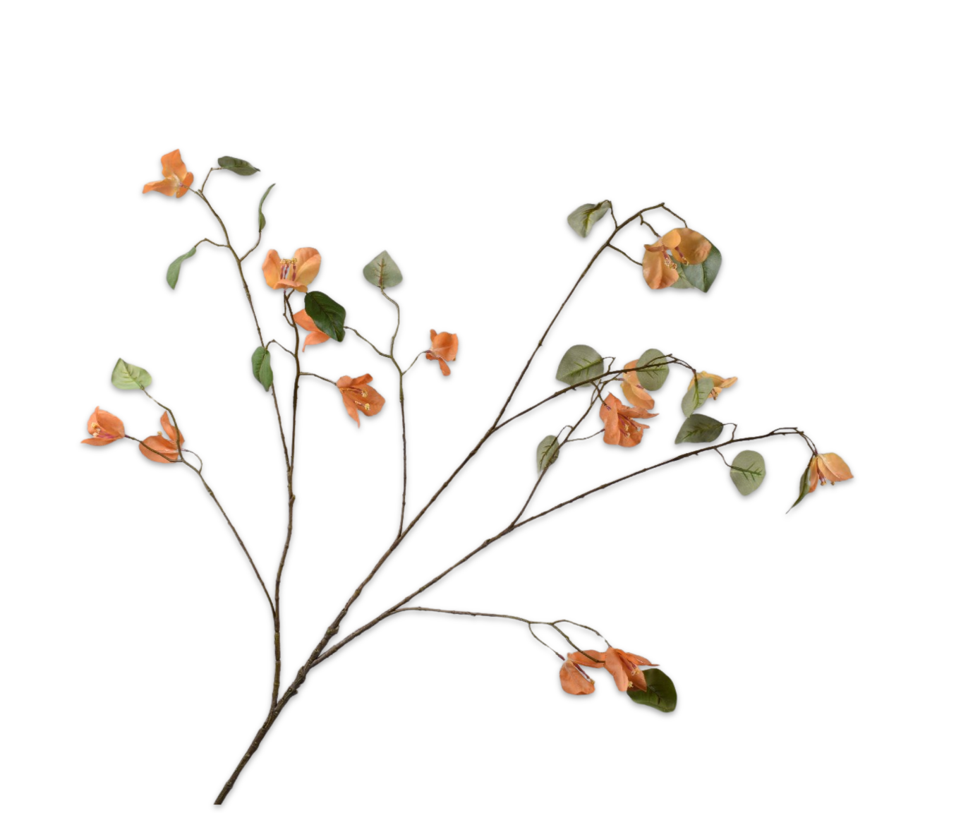 BOUGAINVILLEA SPRAY ORA/YLL  125 CM
