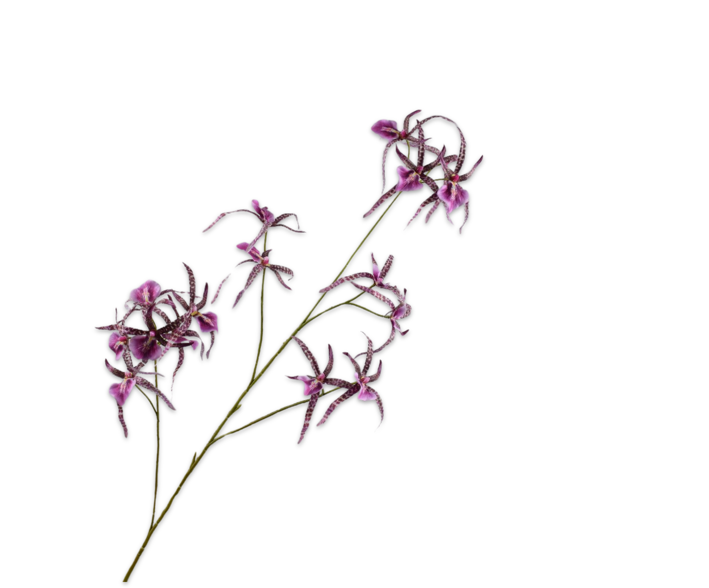 ORCHID SPRAY PRP/PNK  108 CM