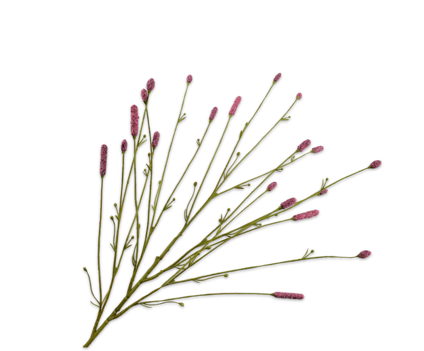 PIMPERNEL TAK ROOD  116 cm
