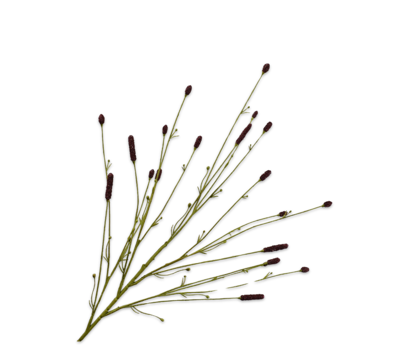 PIMPERNEL TAK BRUIN  116 cm
