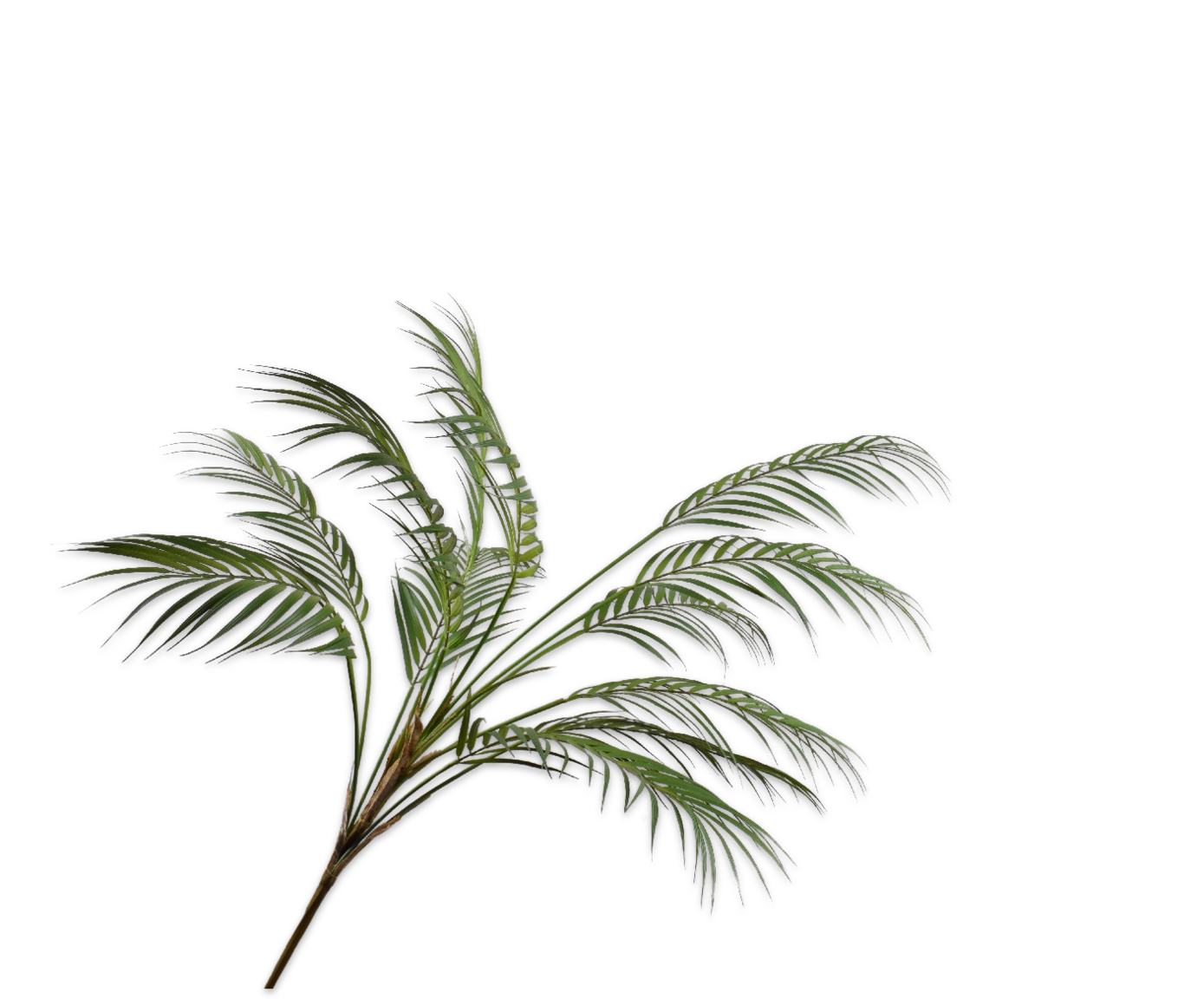 PALMA RAMO VERDE  124 CM