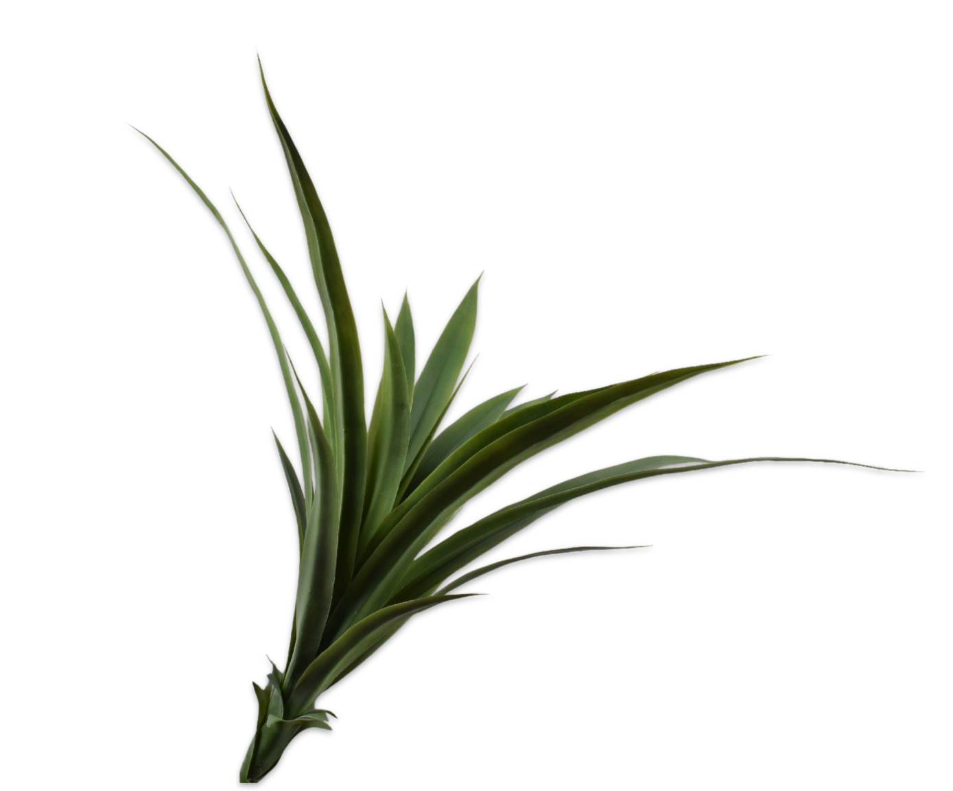 AGAVE BUSCH GRÜN  78 CM