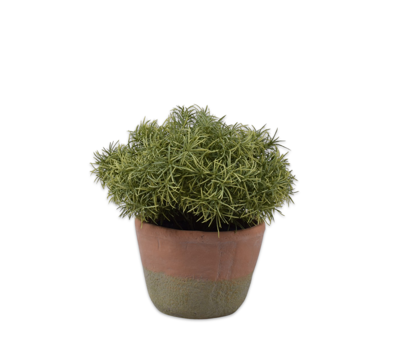 ESPARRAGO E/MACETA VERDE  24 CM