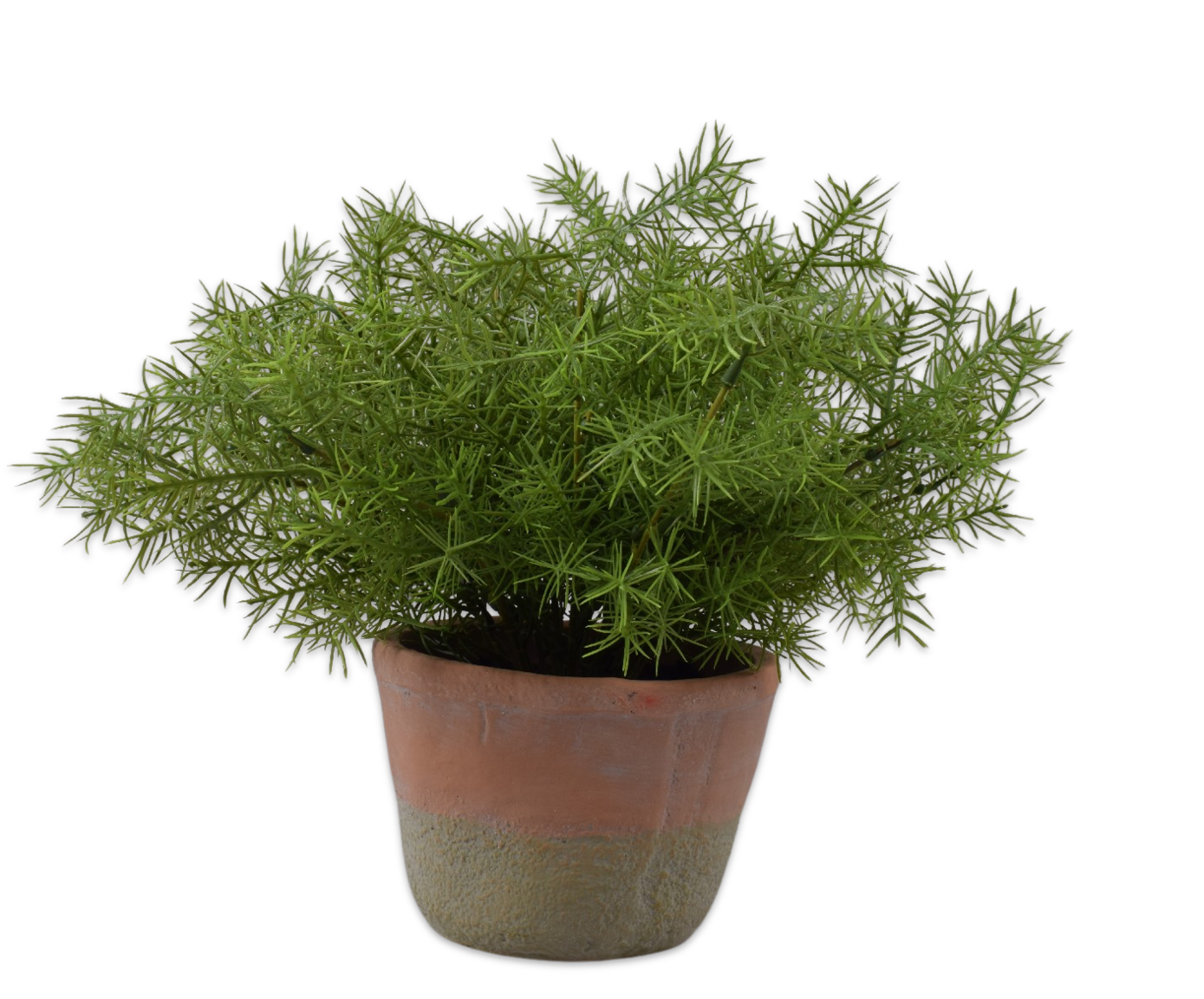 ESPARRAGO E/MACETA VERDE  33 CM