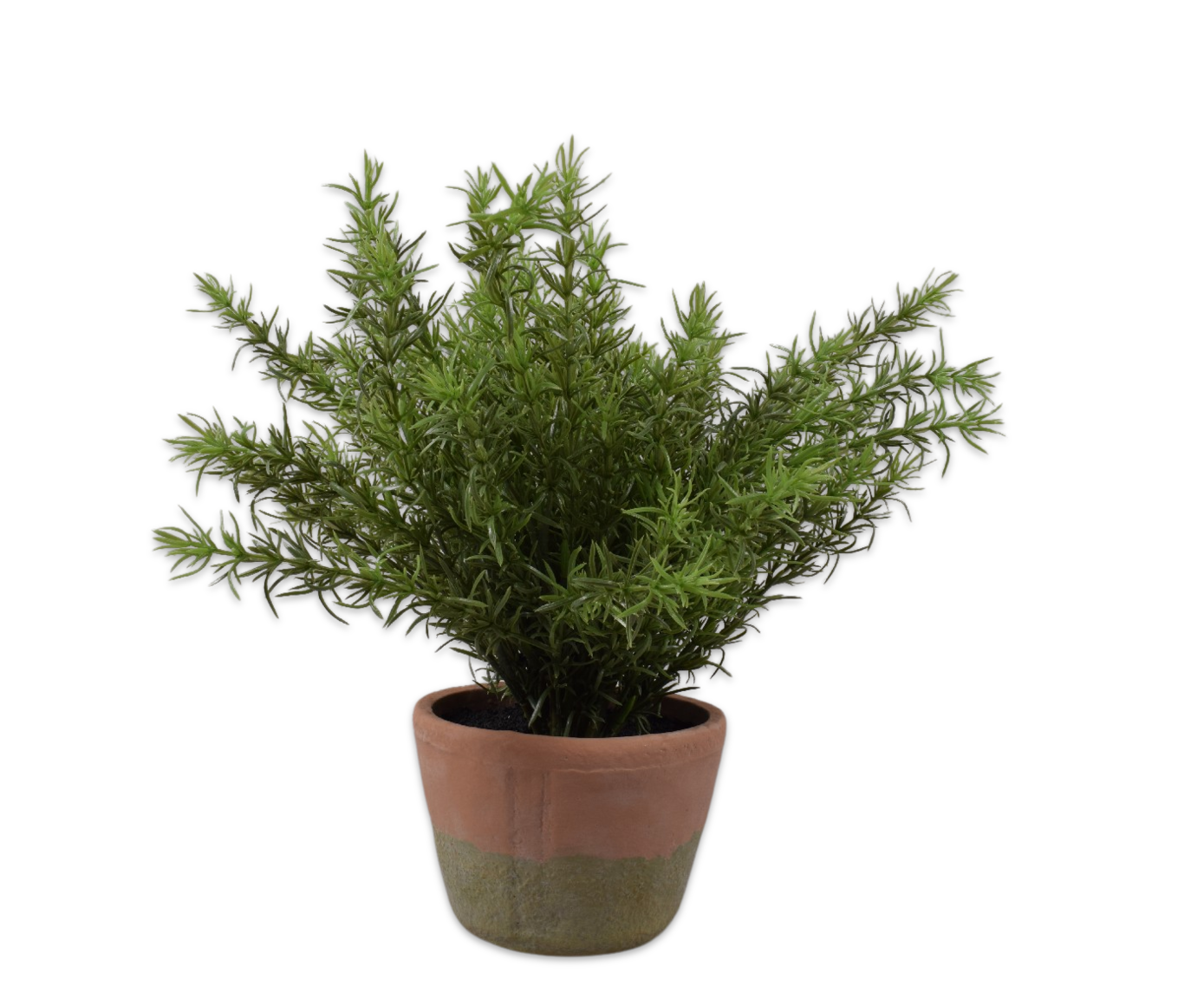 ESPARRAGO E/MACETA VERDE  38 CM