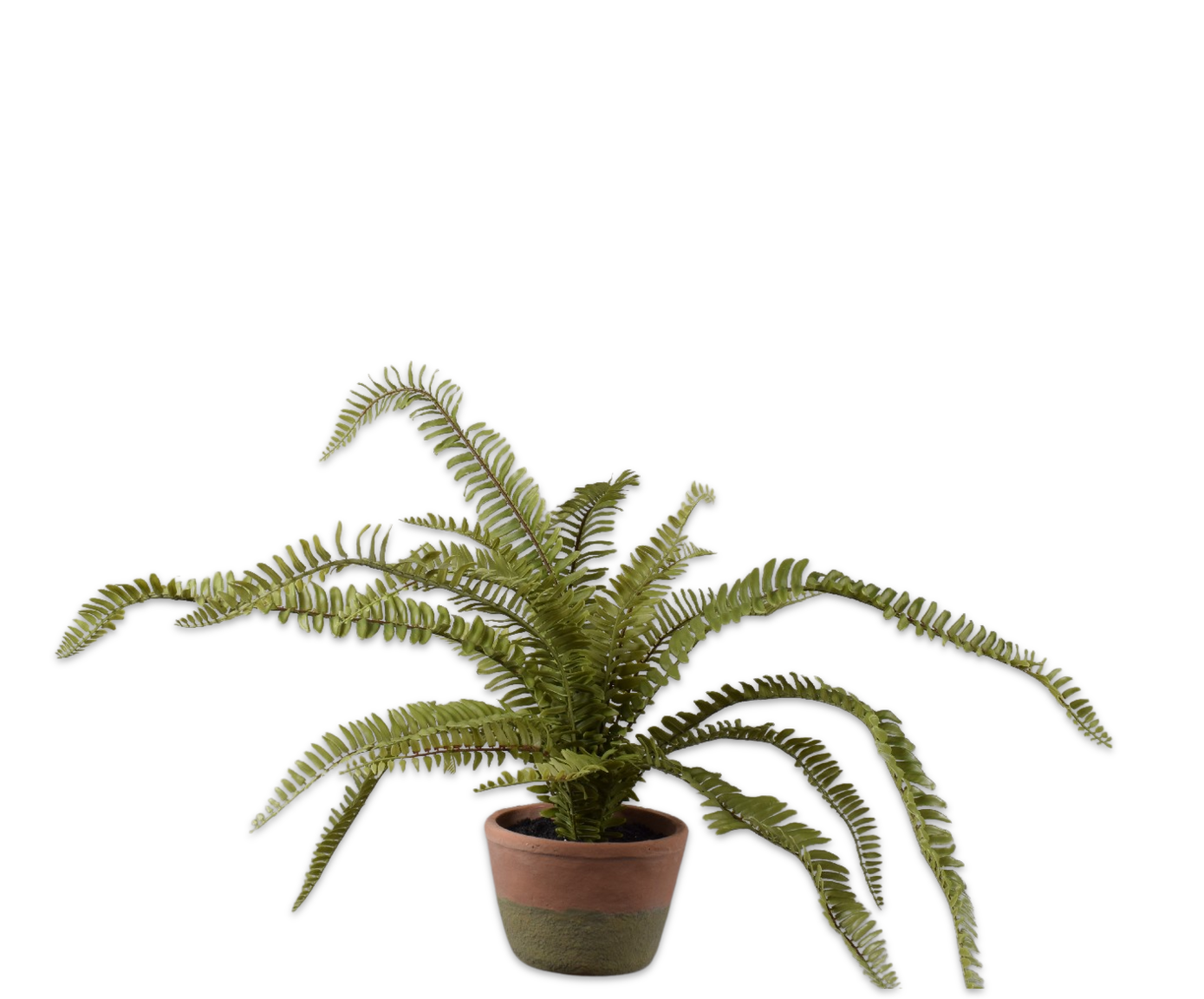 FELCE IN VASO VERDE  68 CM