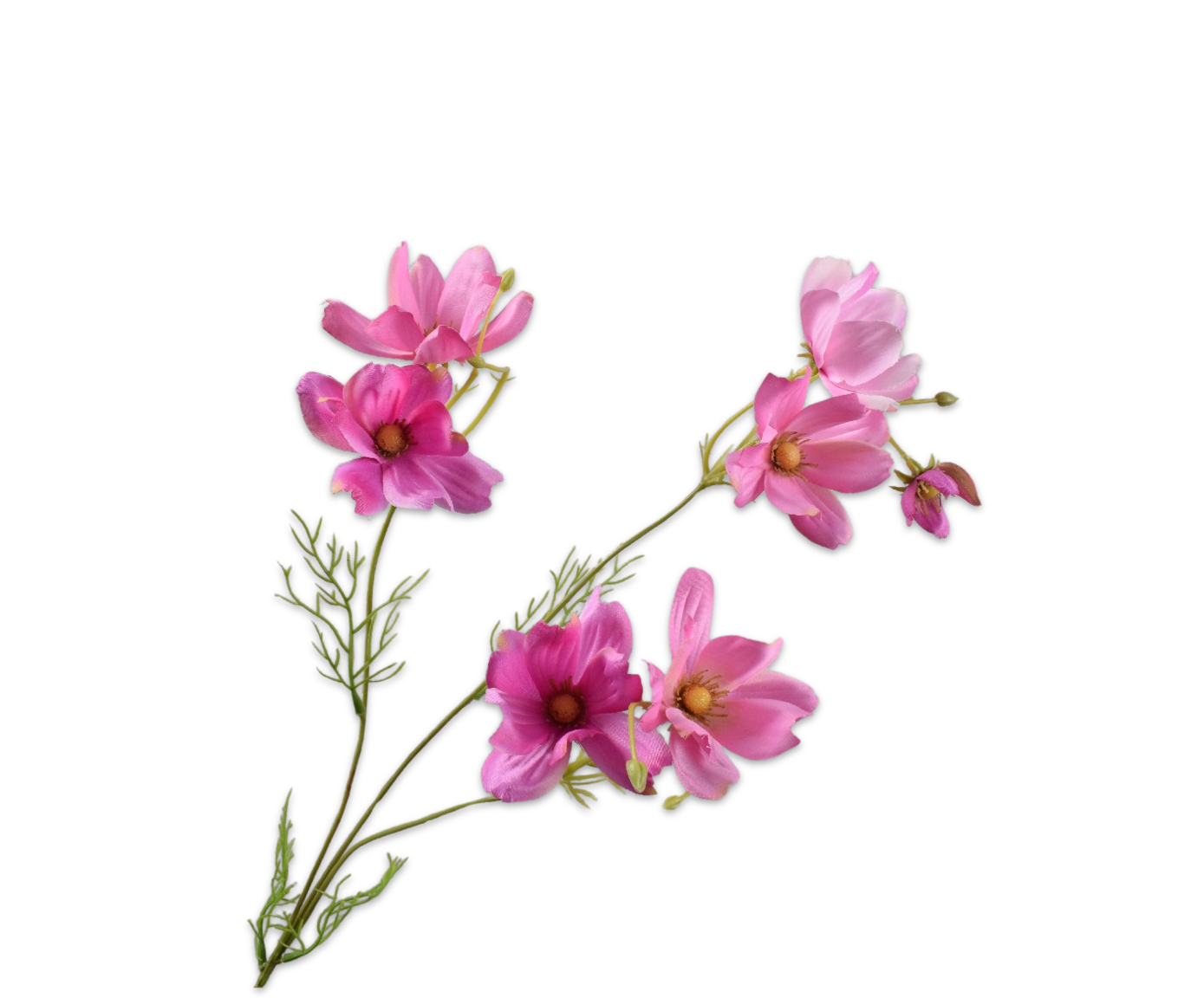 COSMOS SPRAY PINK  56 CM