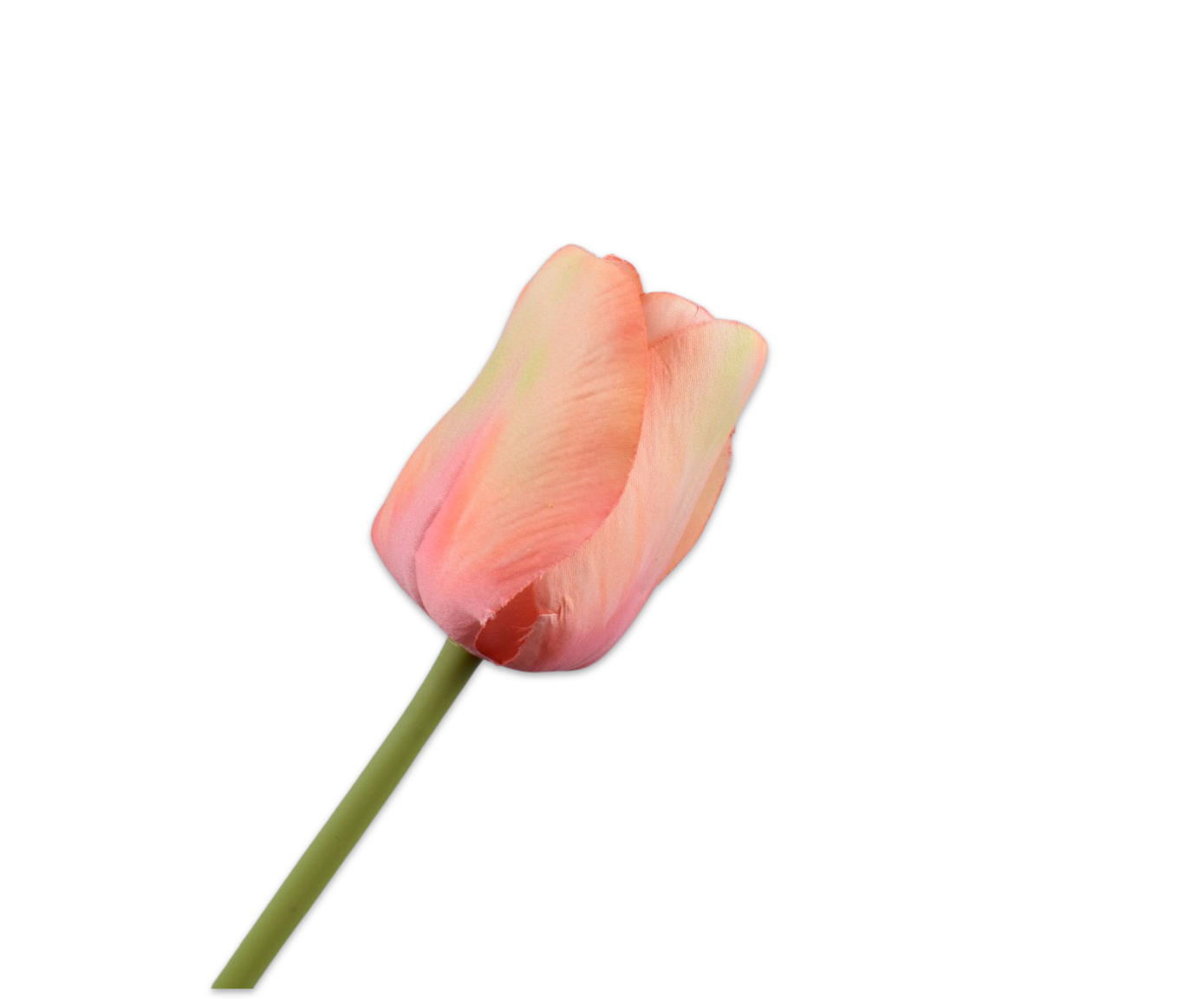 TULP STEEL PERZIK  64 cm