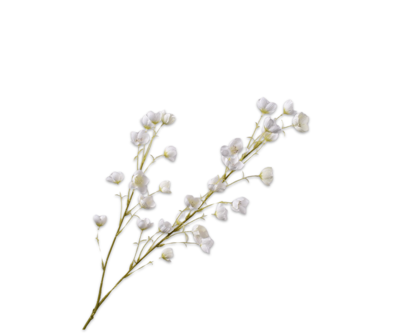 CAMPANULA ZWEIG CREME  94 CM