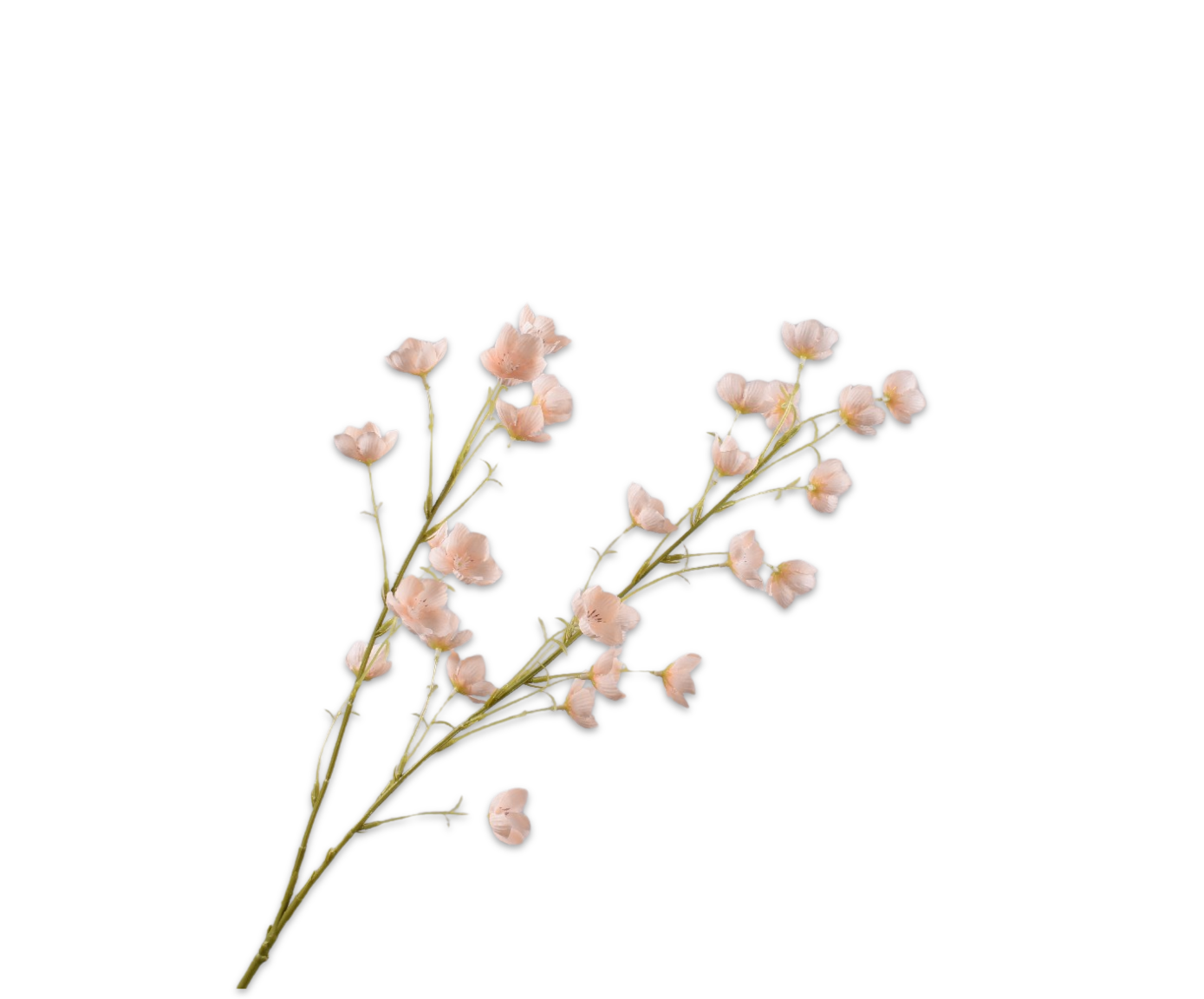 CAMPANULA ZWEIG PFIRSICH  94 CM